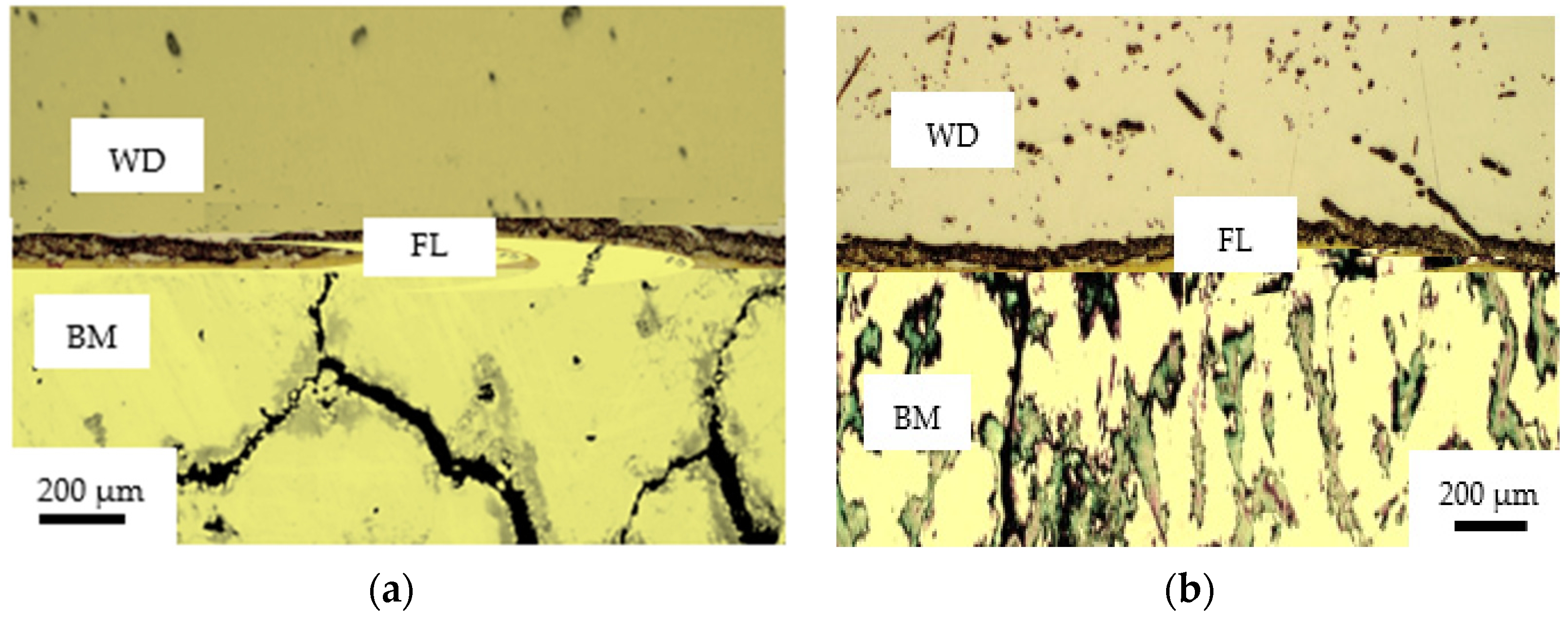 Metals 11 01157 g008 550