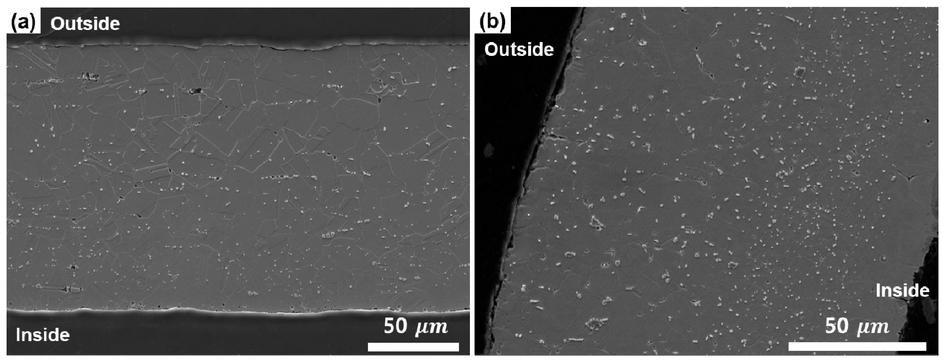 Metals 11 01162 g002