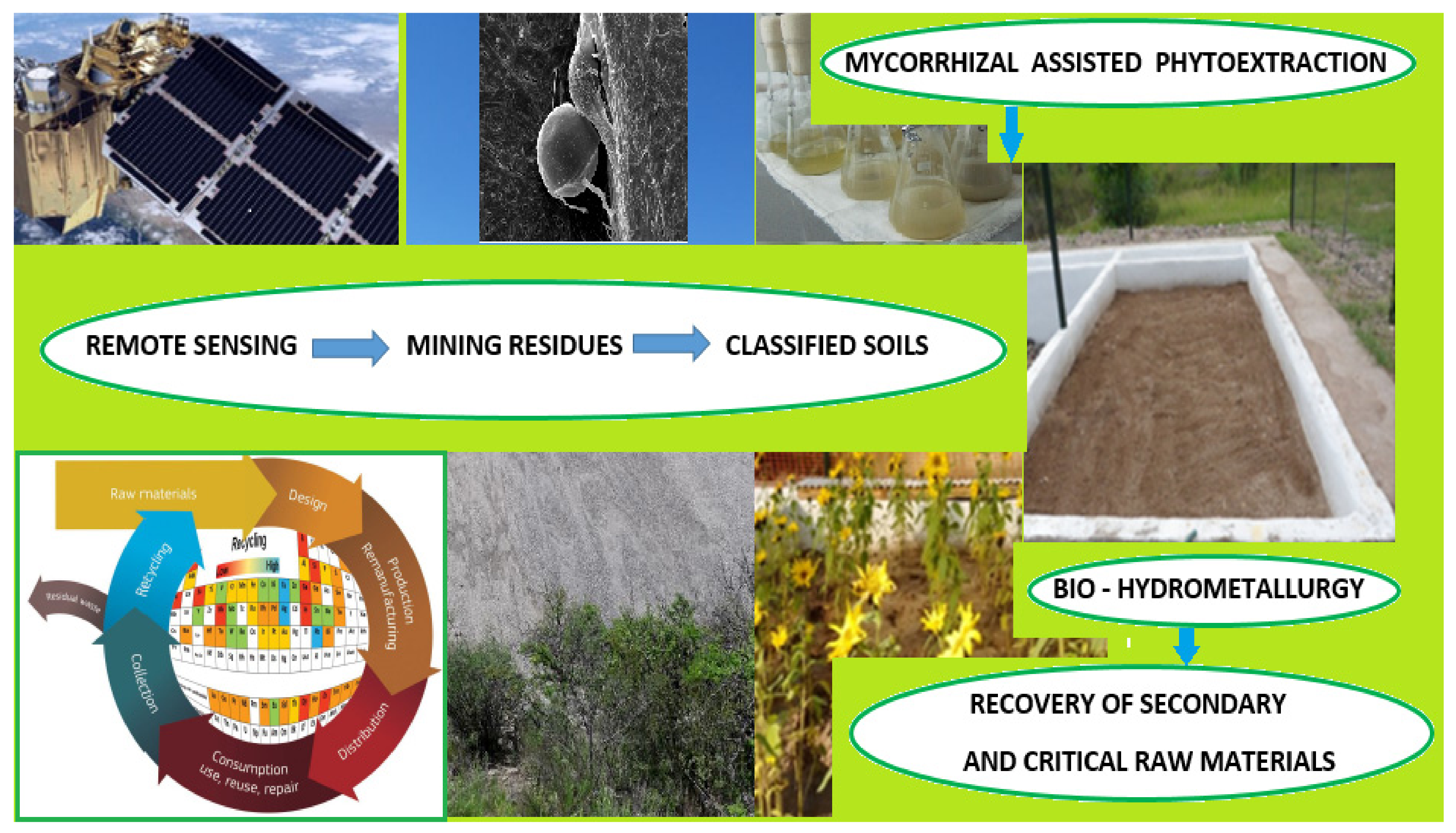 Metals 11 01163 g001