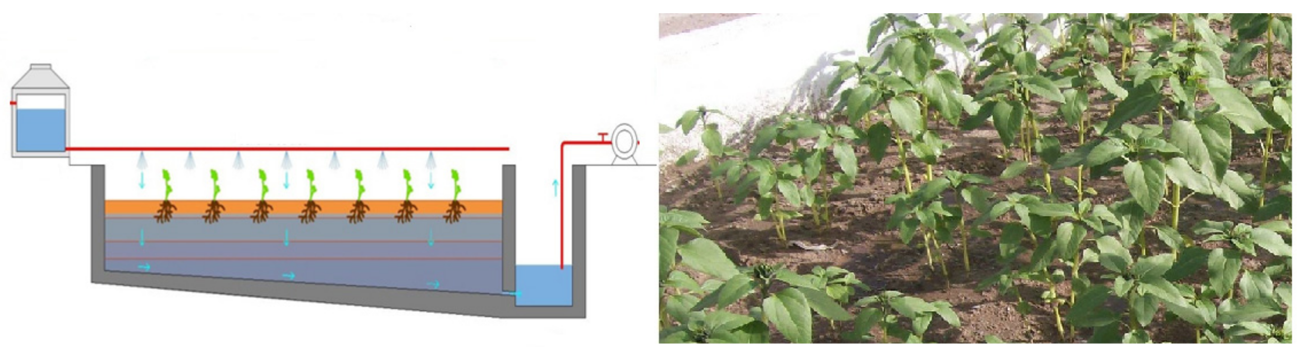 Metals 11 01163 g005