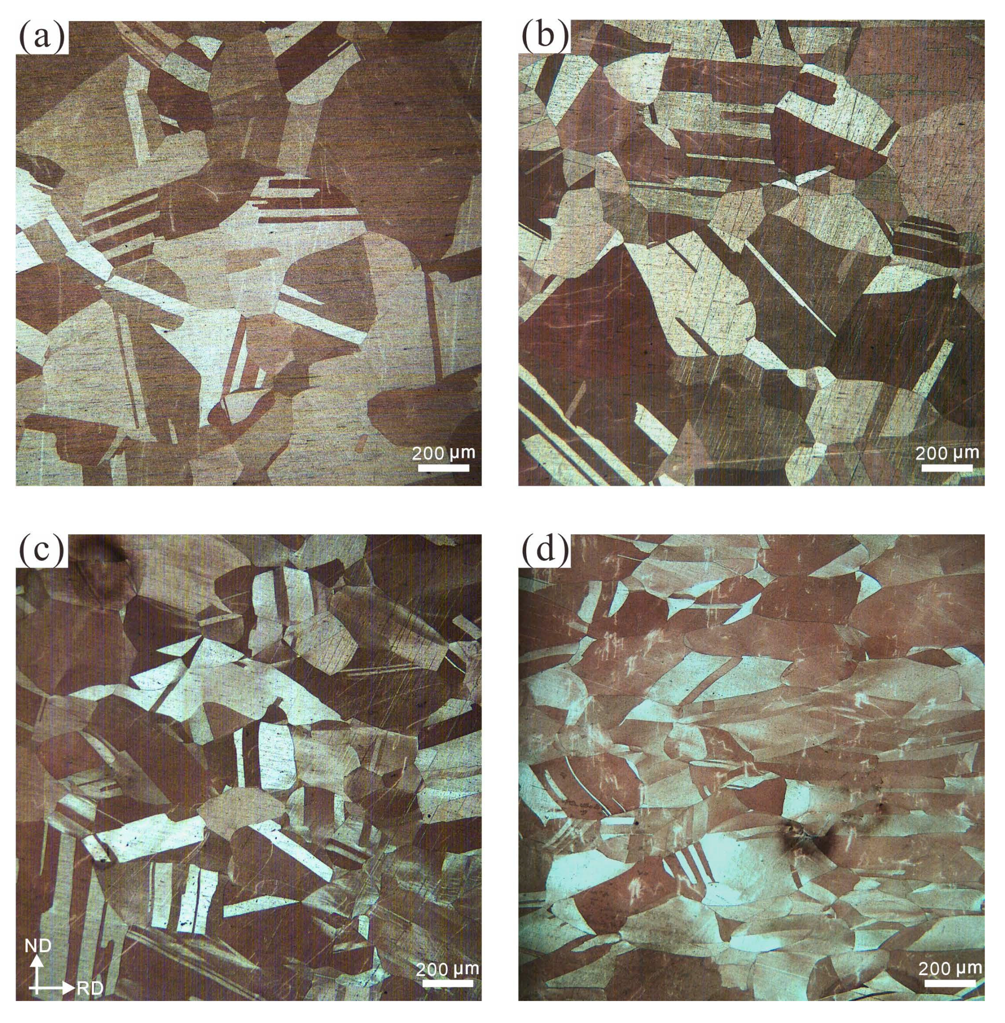 Metals 11 01166 g002 550
