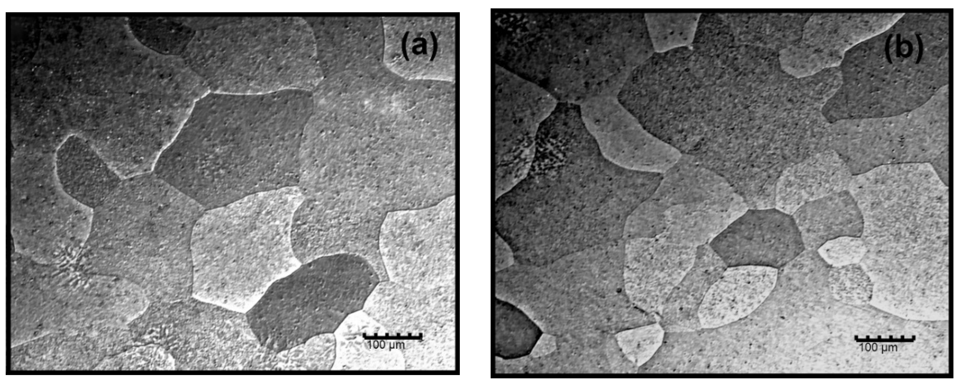Metals 11 01171 g003 550