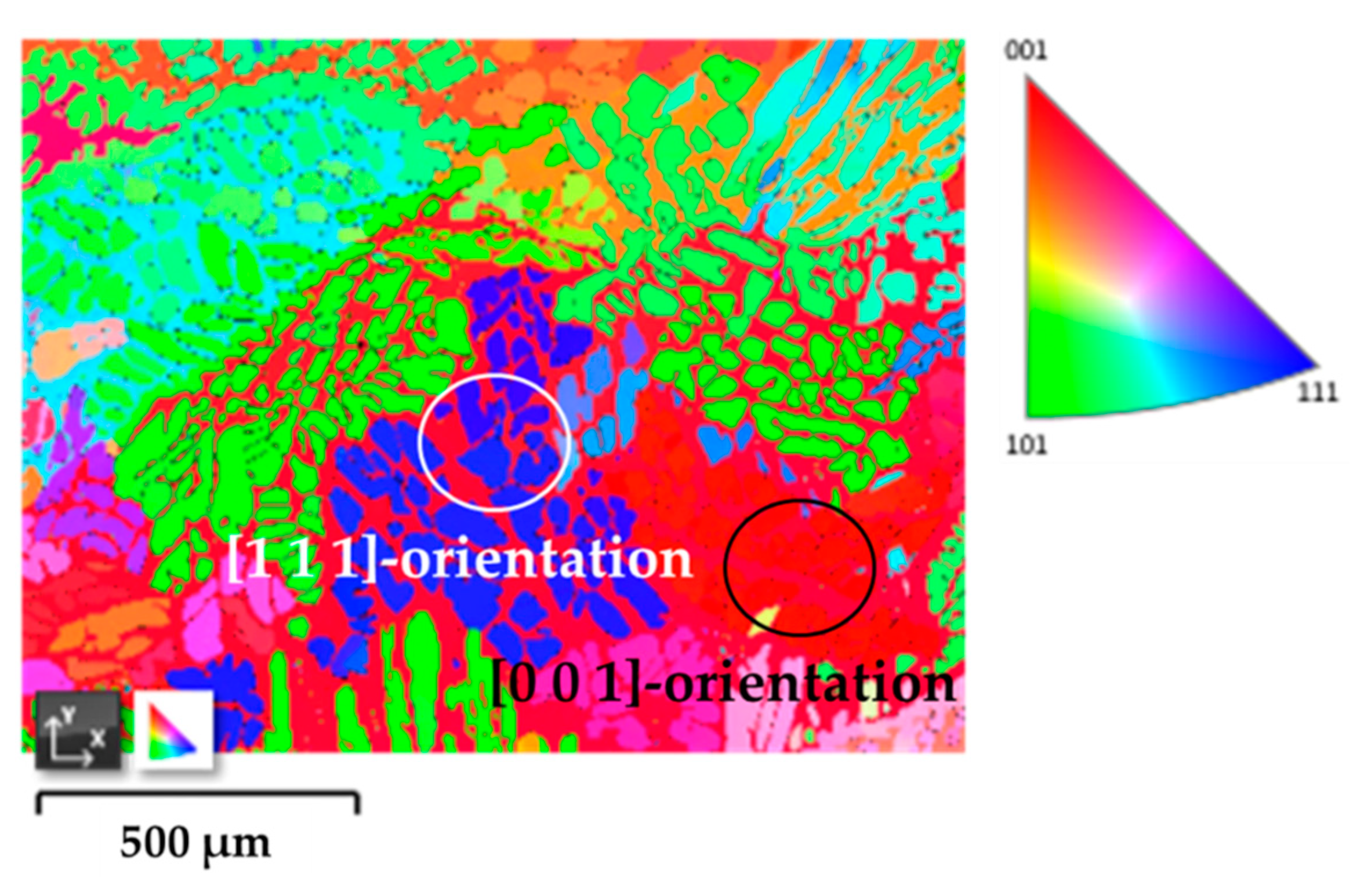専用1 Differences in Deformation Behaviors Caused by Microband