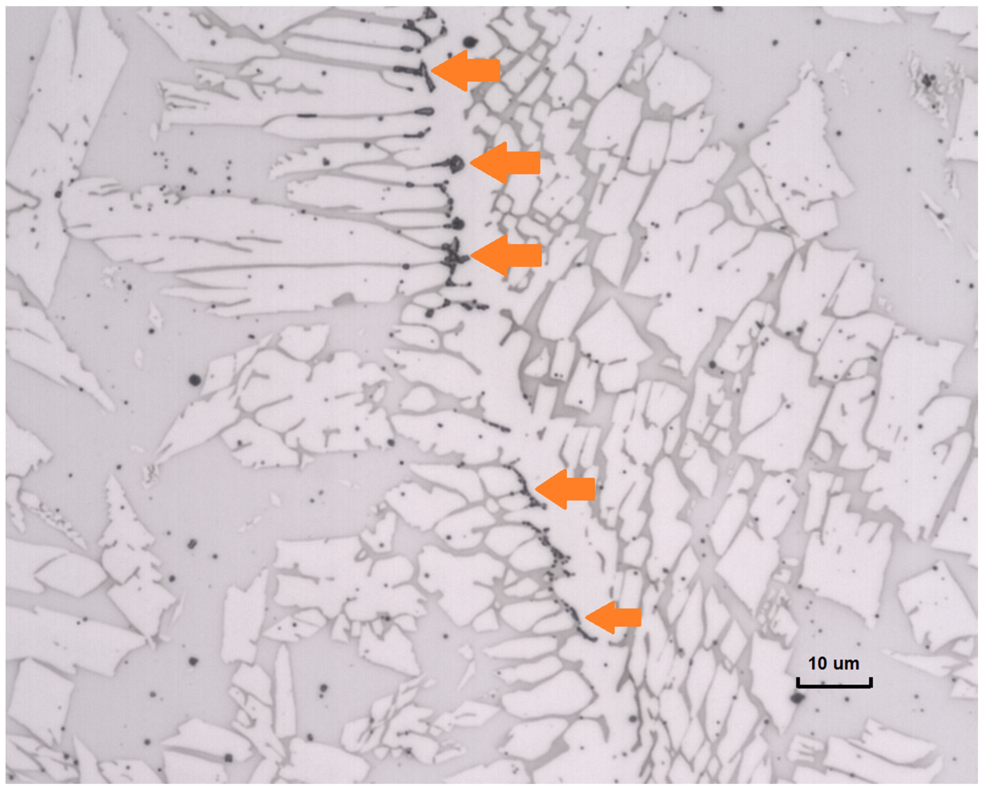 Metals 11 01184 g004