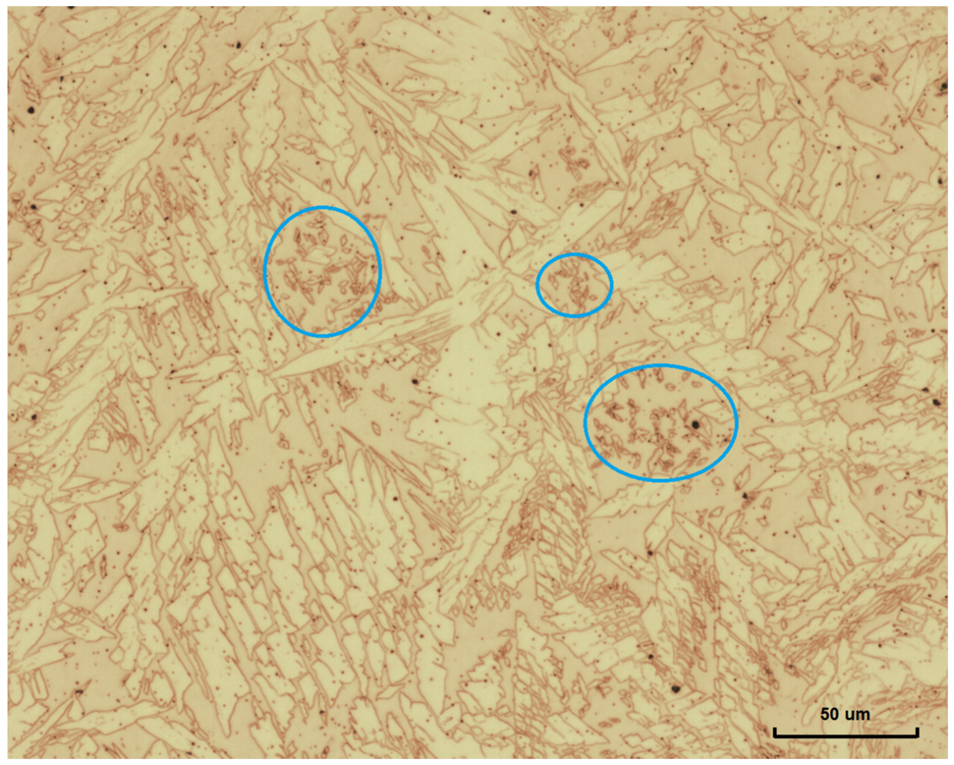 Metals 11 01184 g005