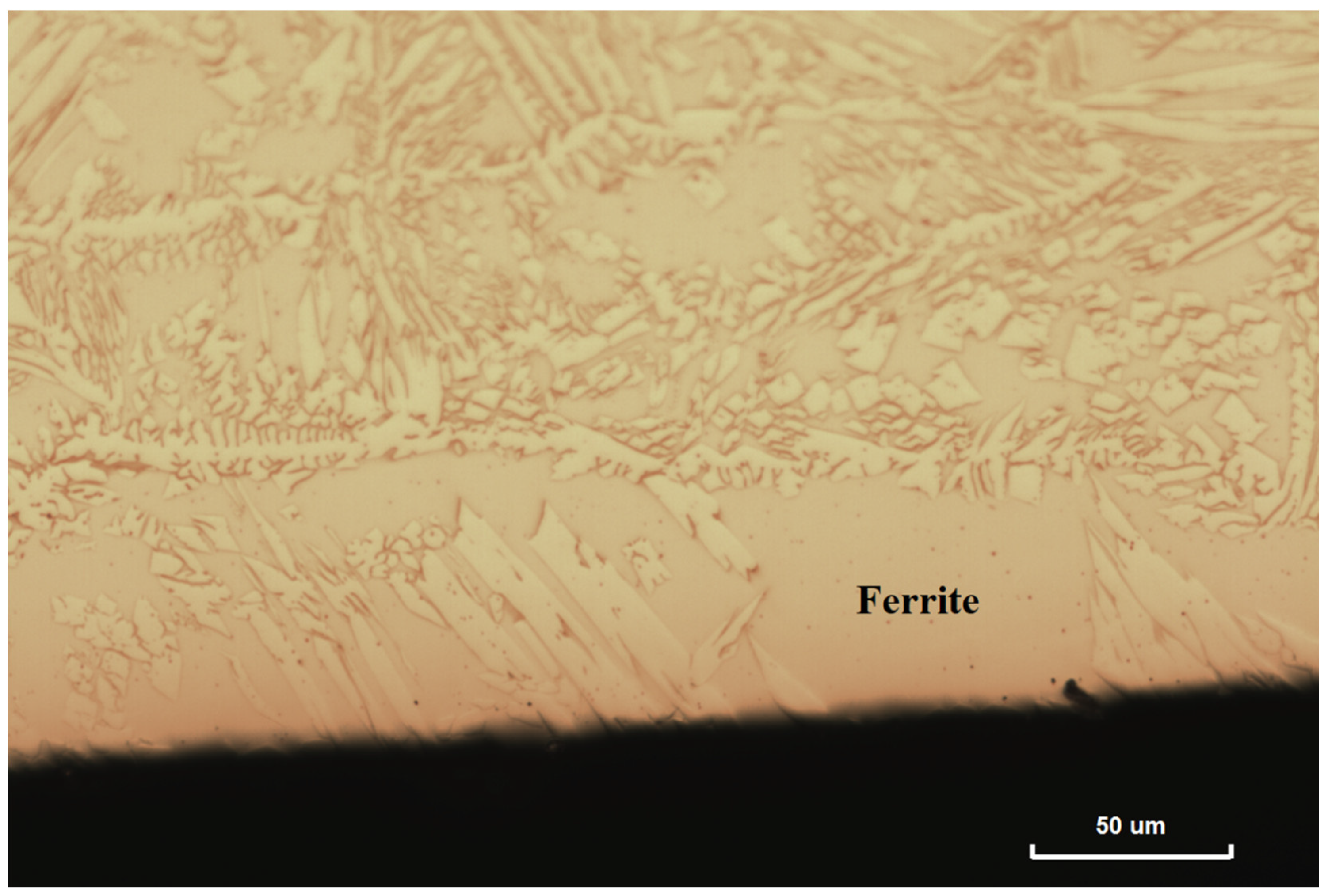 Metals 11 01184 g006