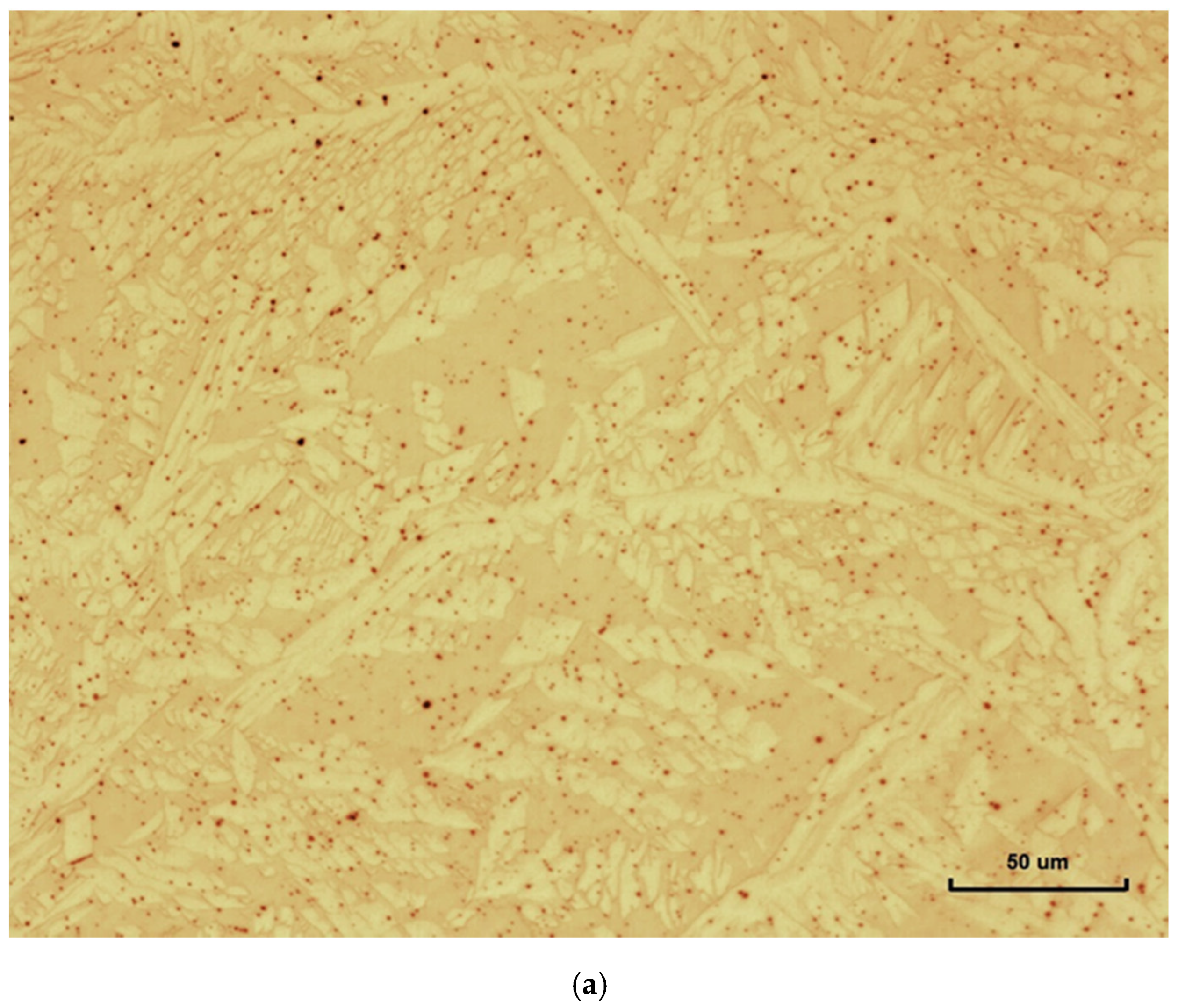 Metals 11 01184 g009a