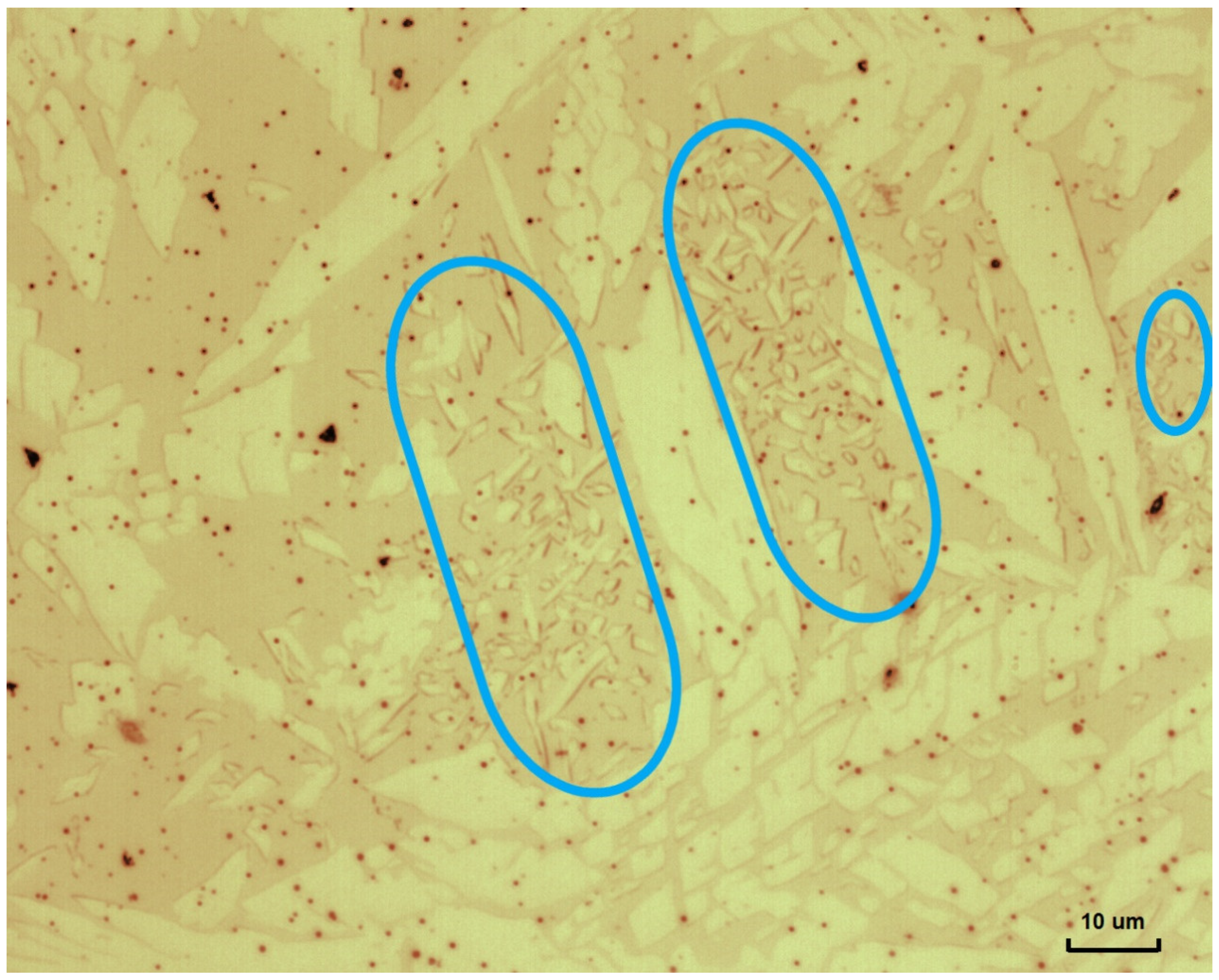 Metals 11 01184 g010