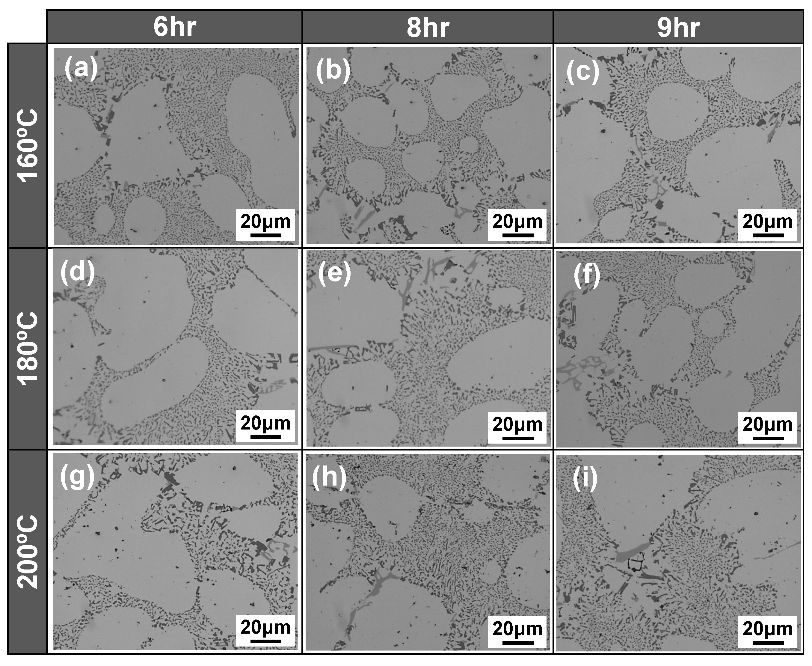 Metals 11 01192 g004