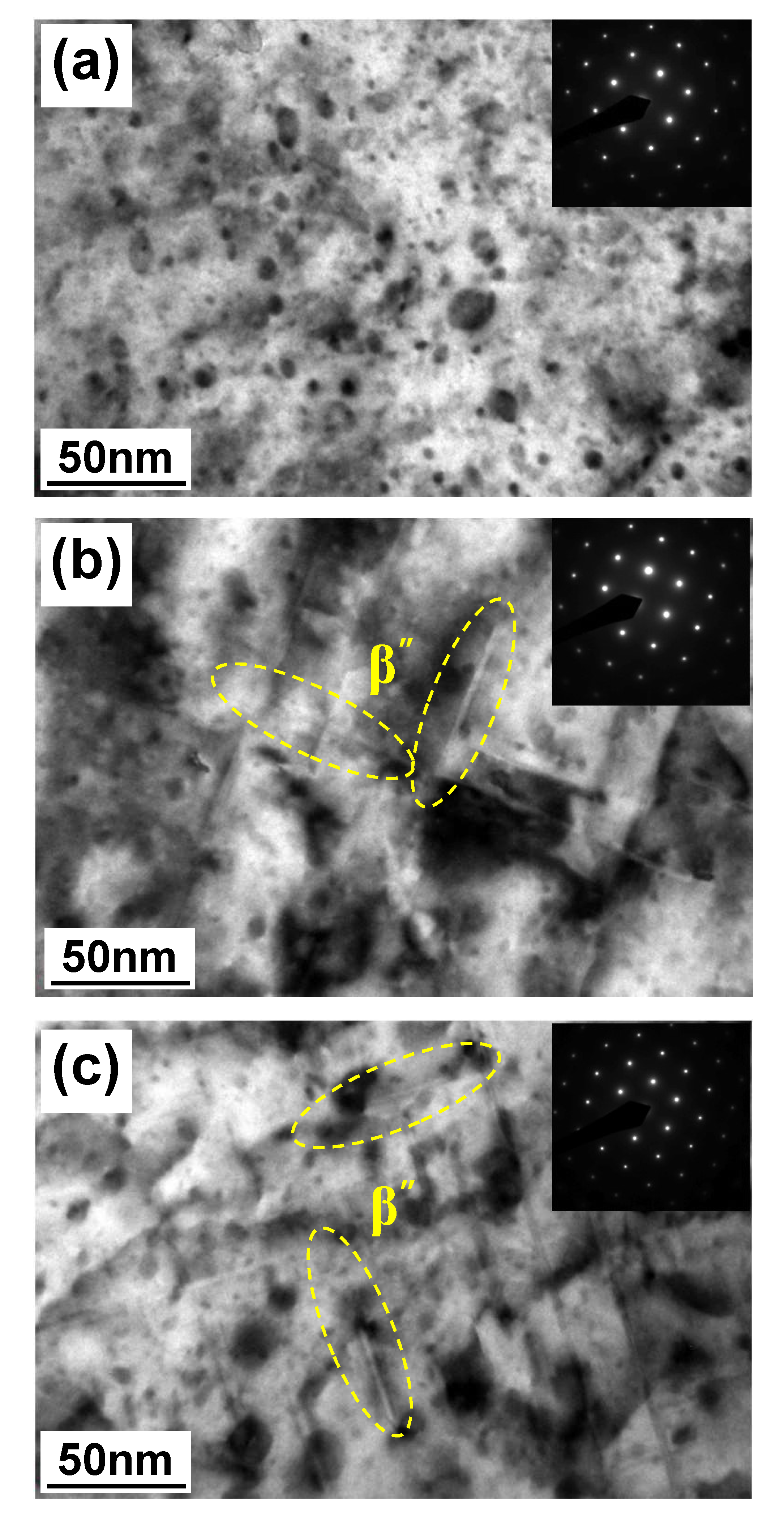 Metals 11 01192 g009