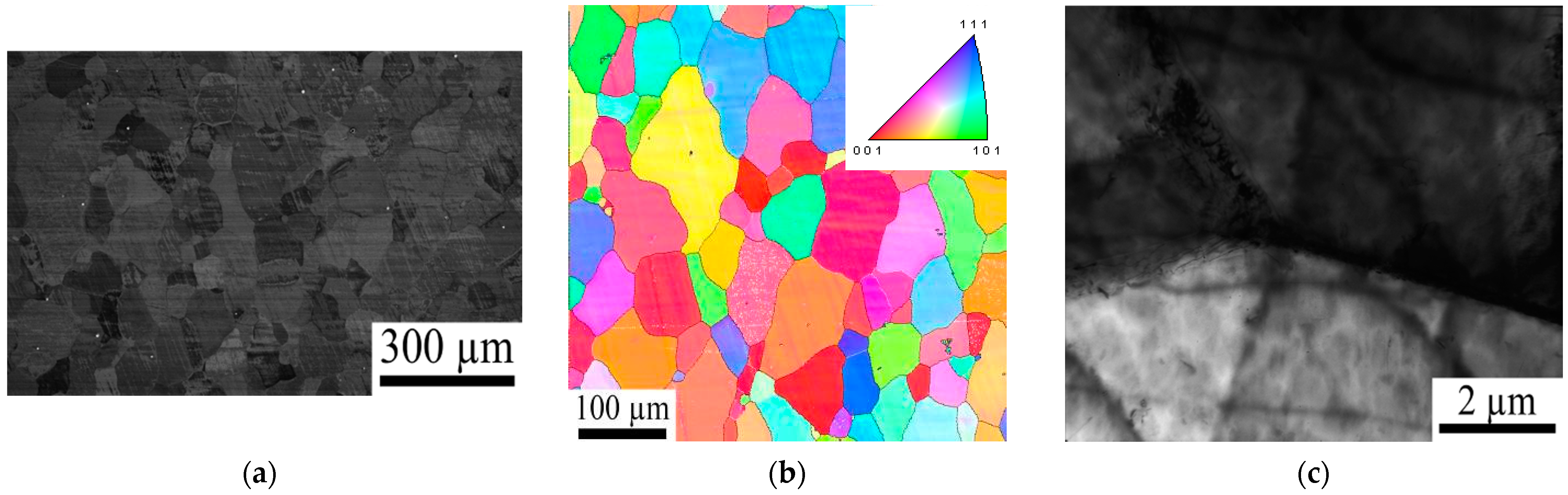 Metals 11 01198 g005