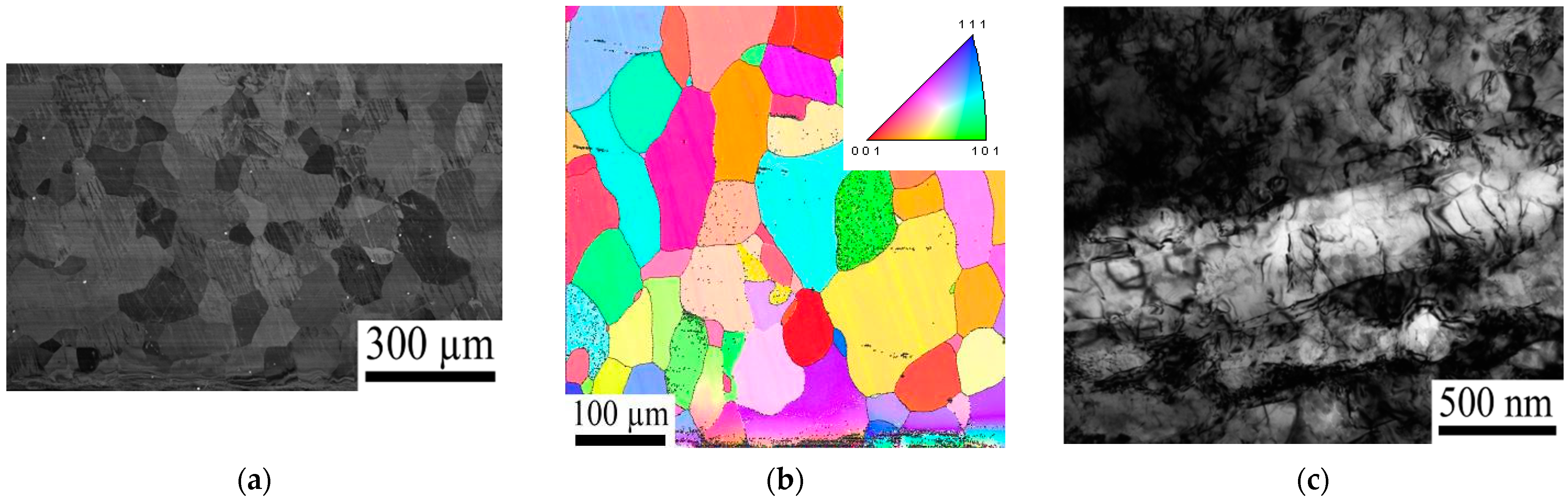 Metals 11 01198 g006