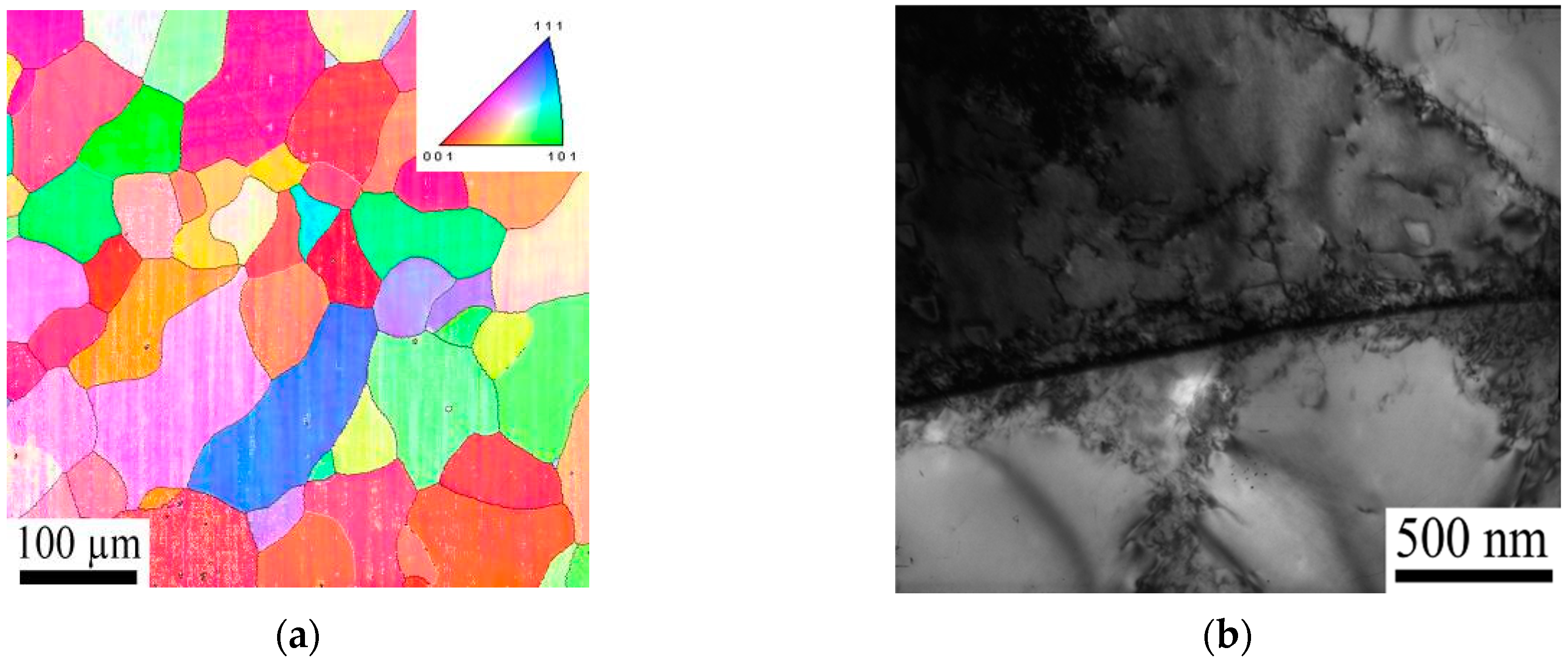 Metals 11 01198 g008