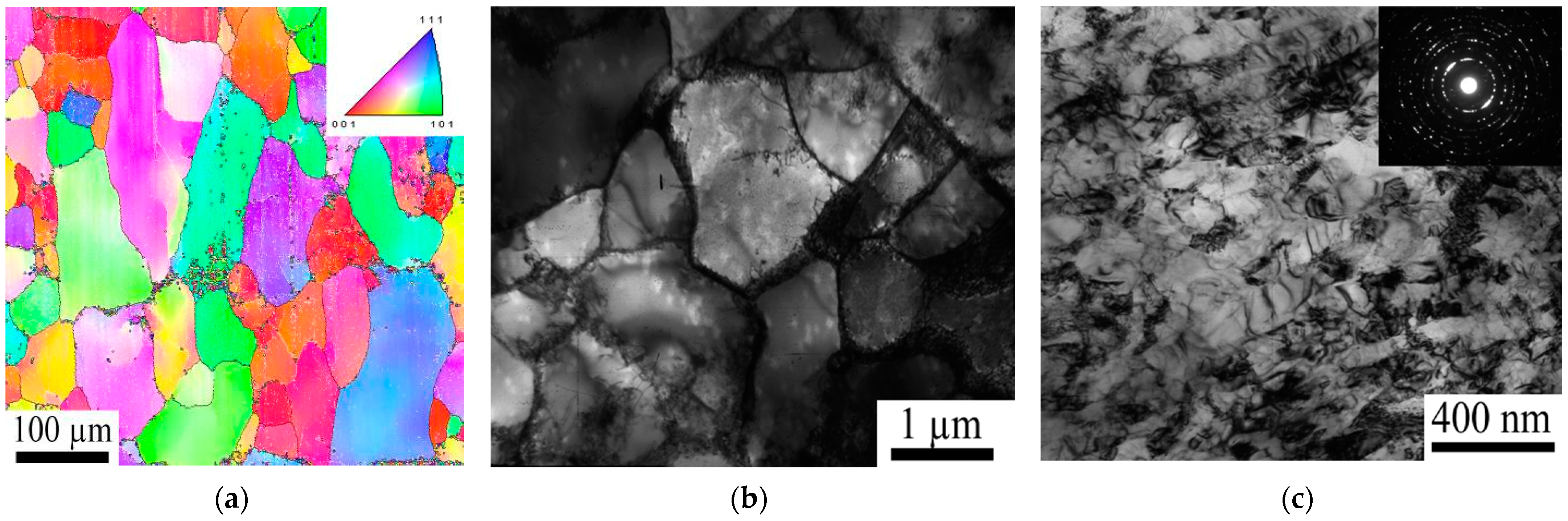 Metals 11 01198 g009