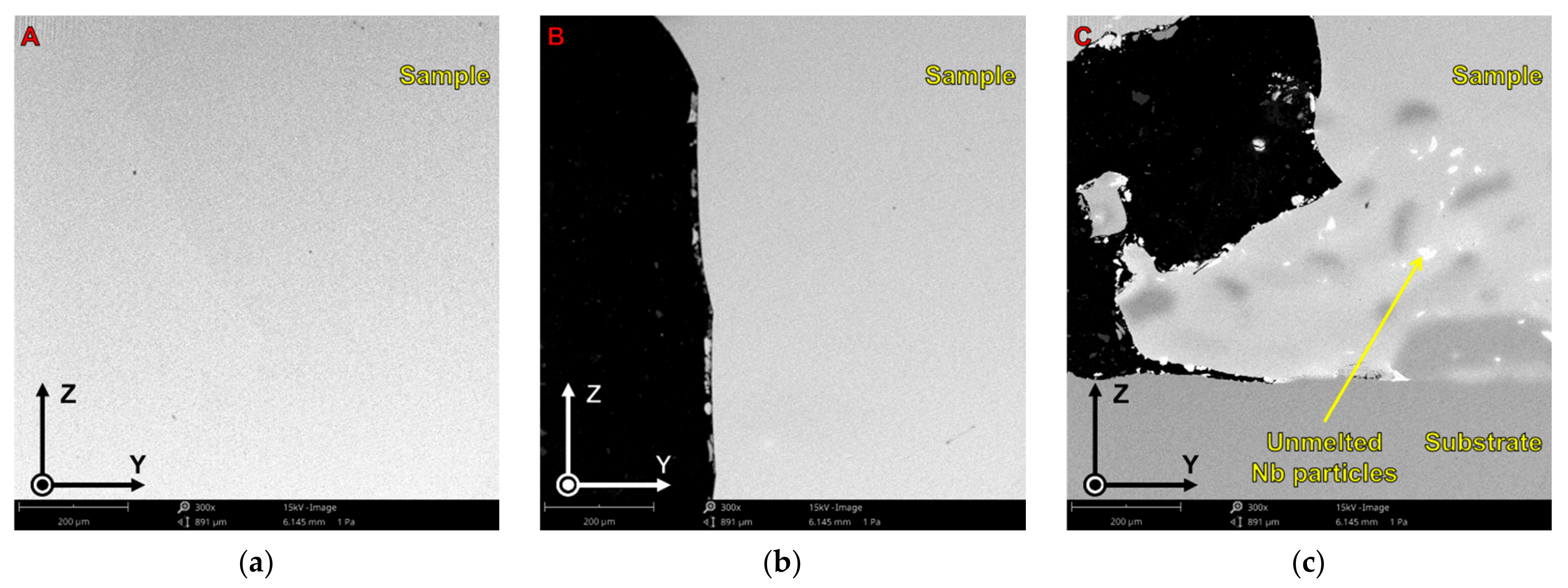 Metals 11 01205 g005 550