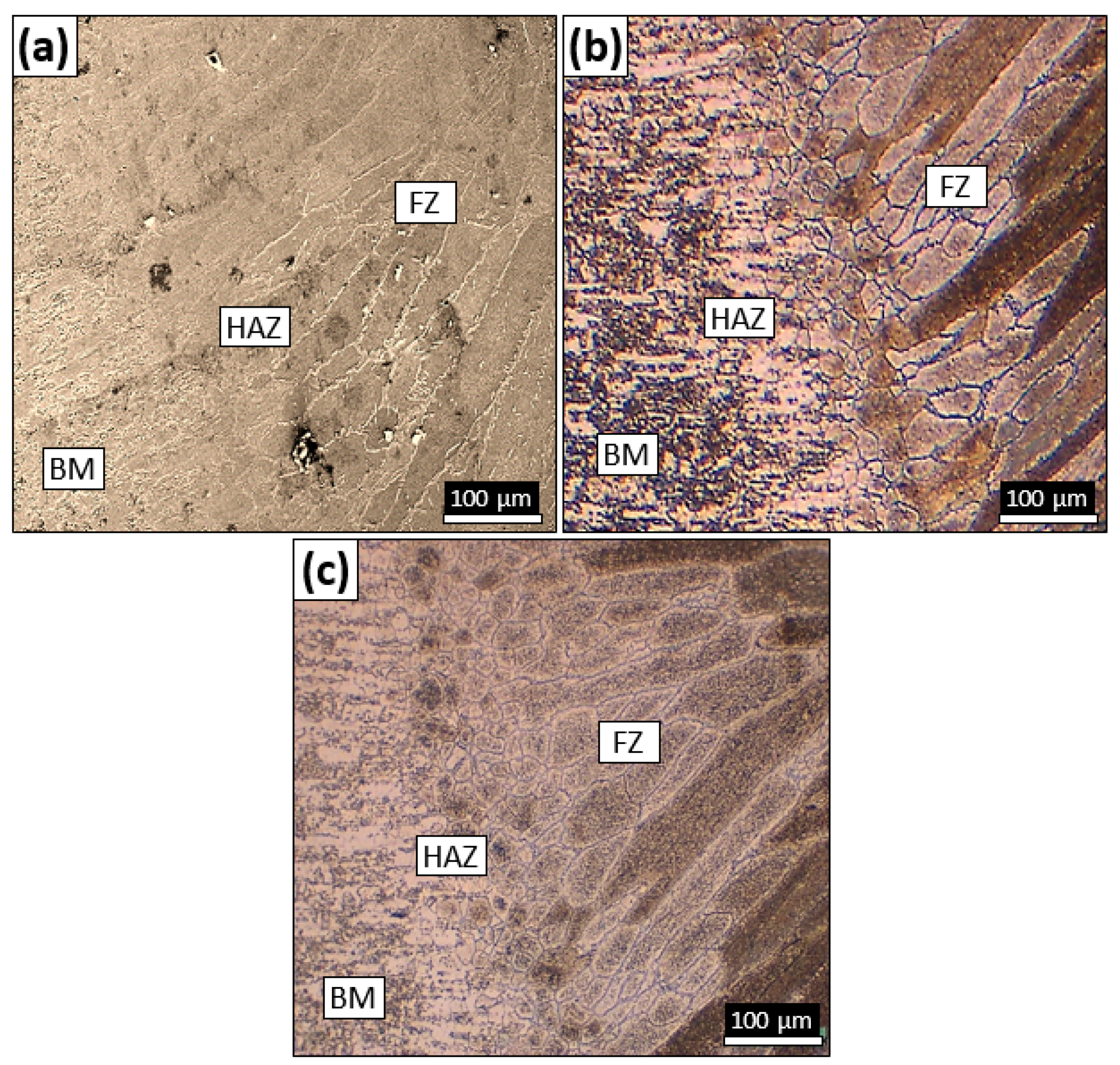 Metals 11 01206 g002