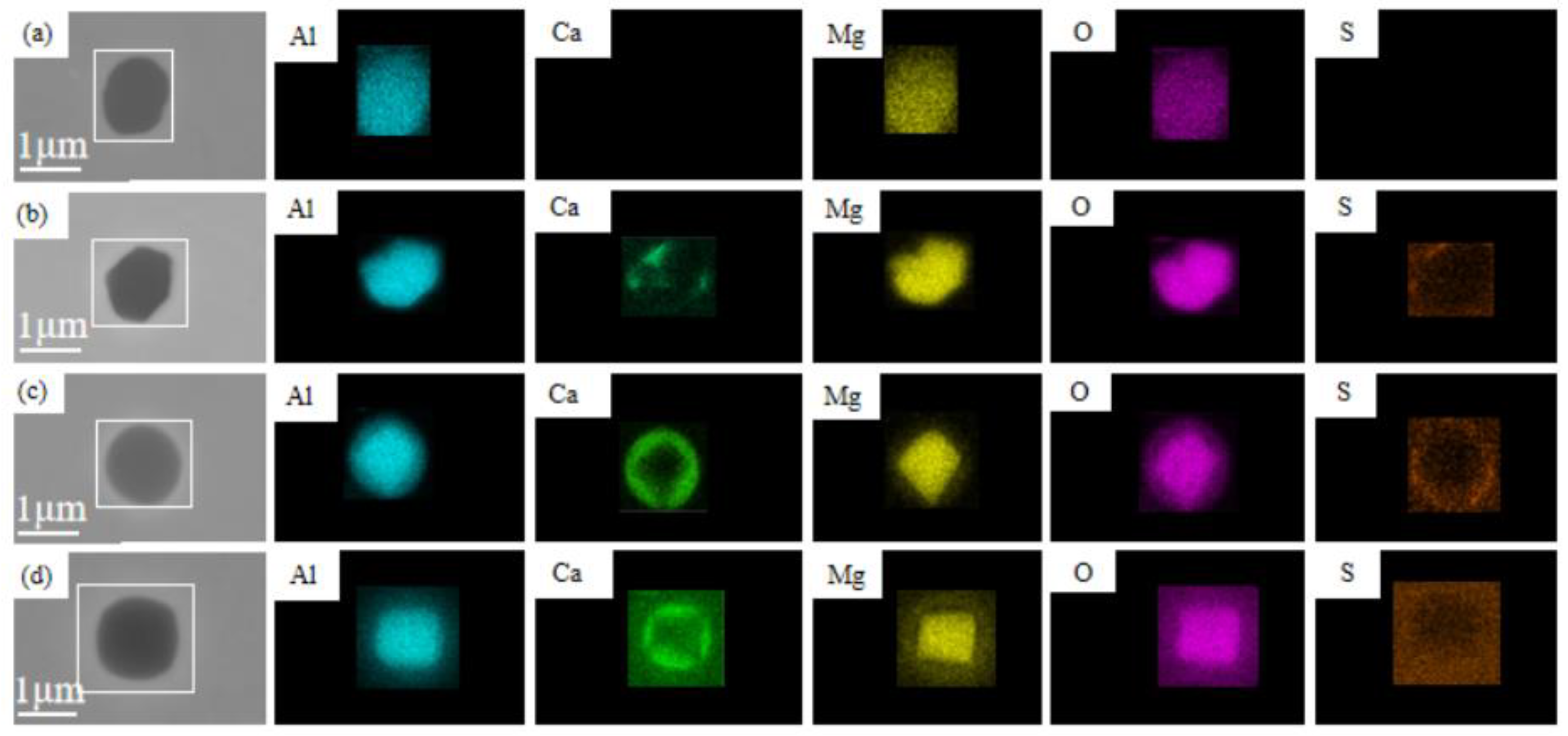 Metals 11 01213 g008