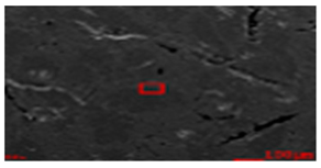 Metals 11 01218 i012 Metals 11 01218 i012