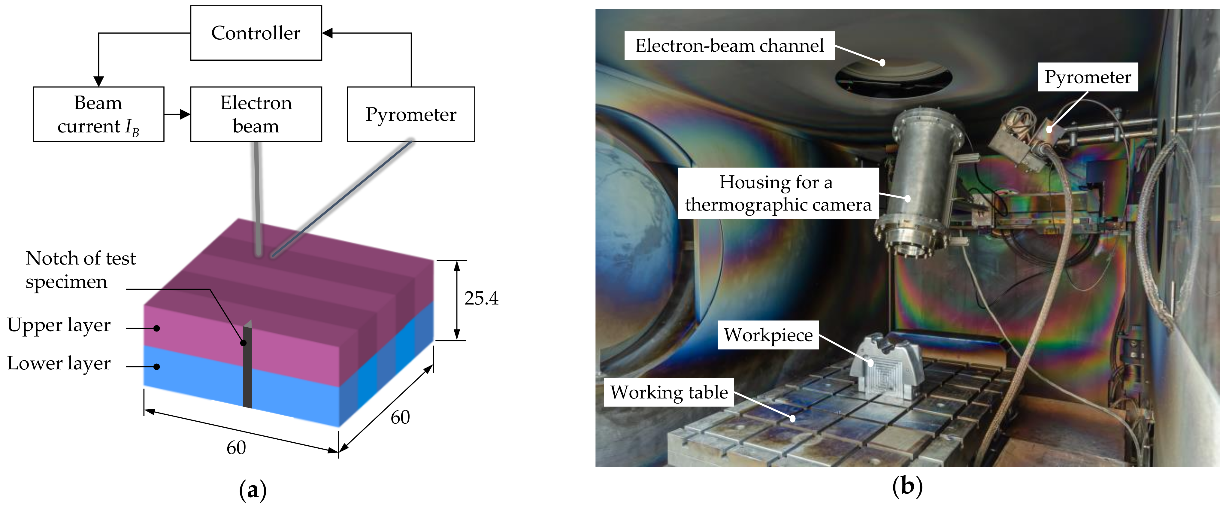 Metals 11 01236 g004 550
