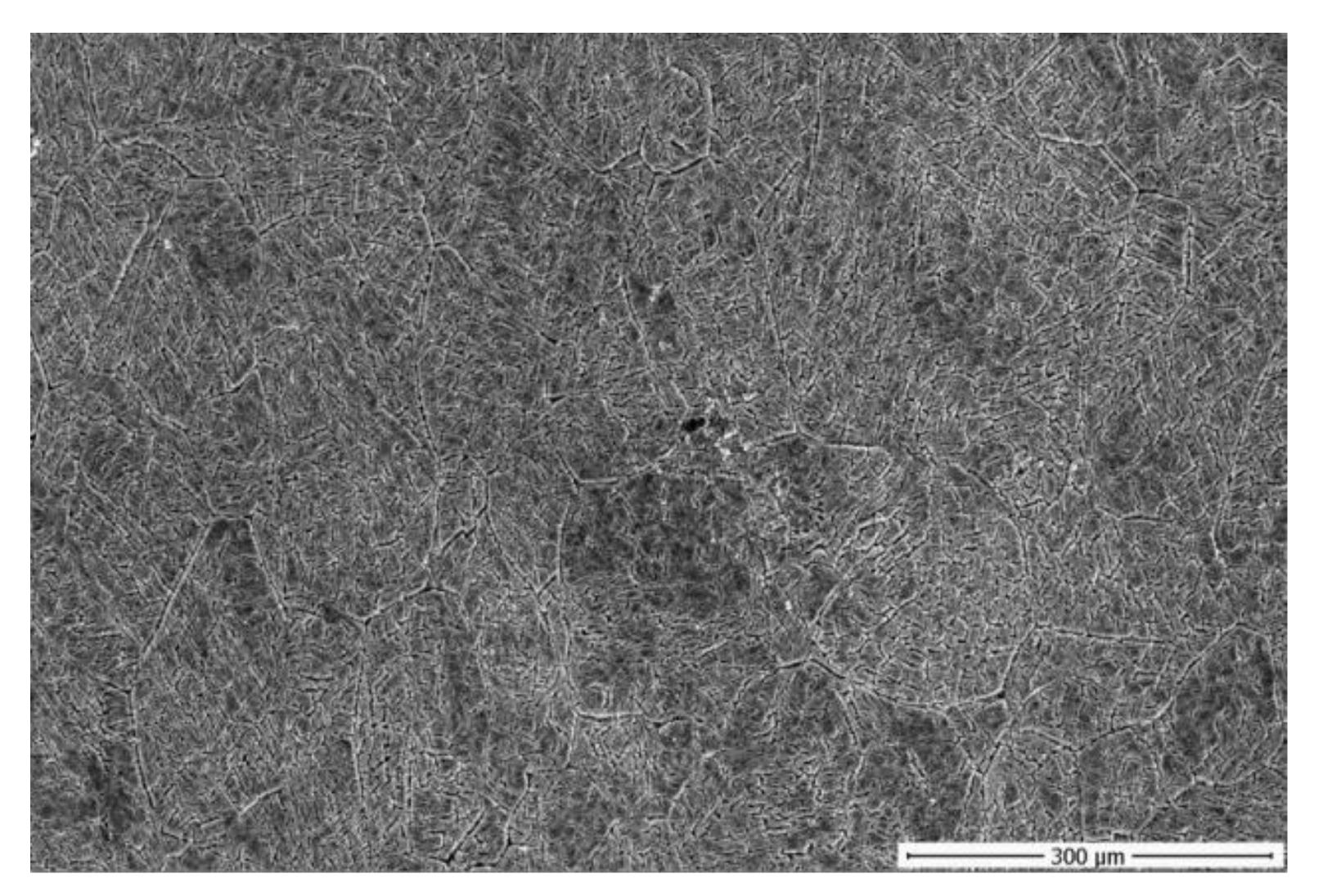 Metals 11 01239 g001