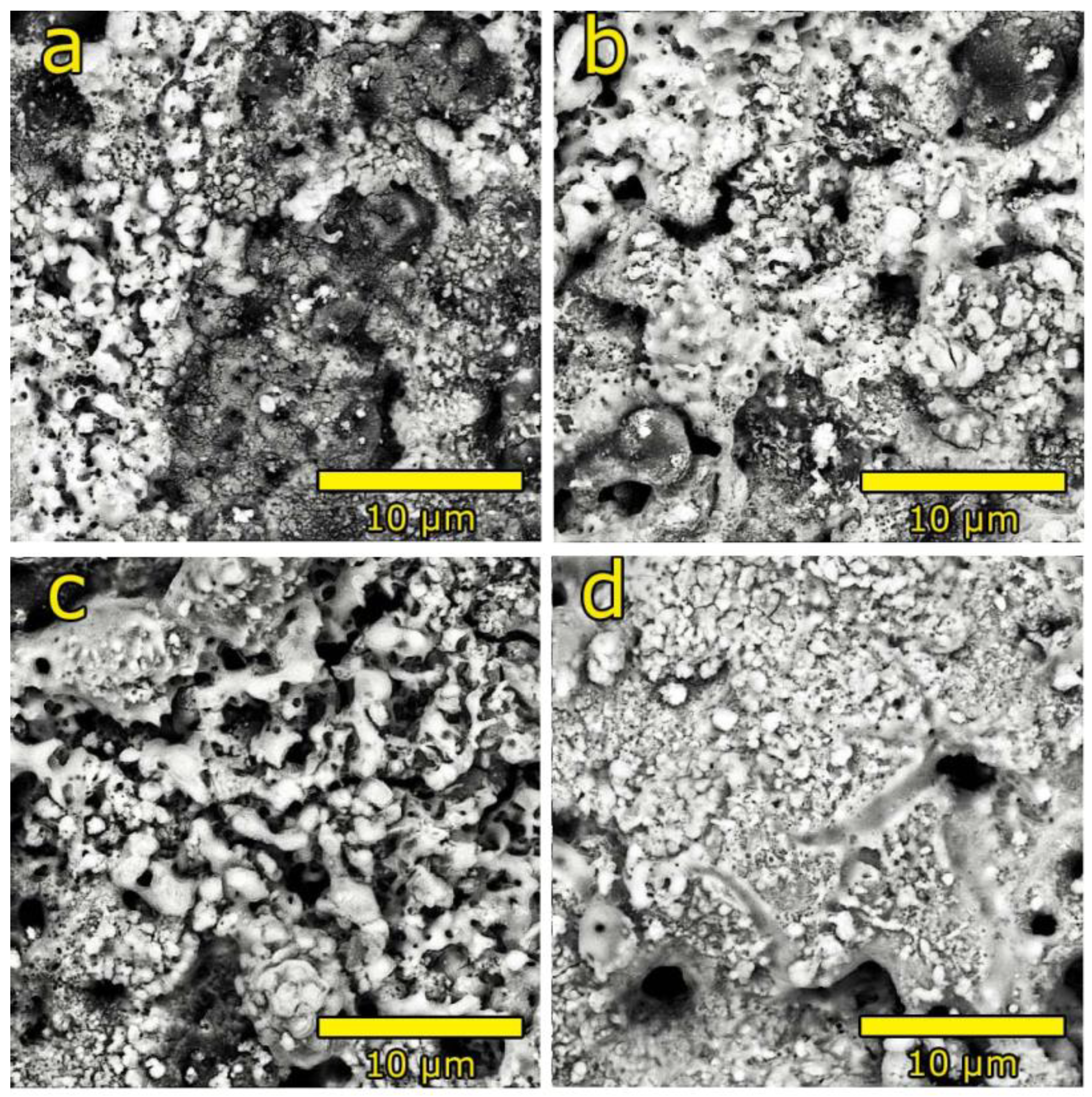 Metals 11 01241 g004 550