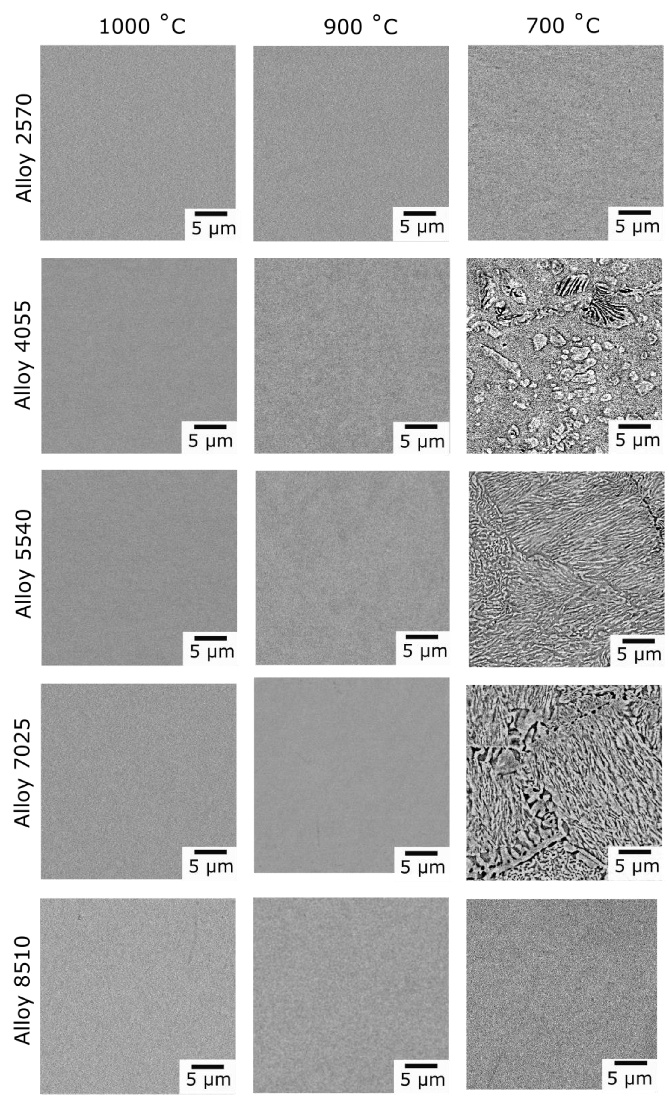 Metals 11 01244 g004 550