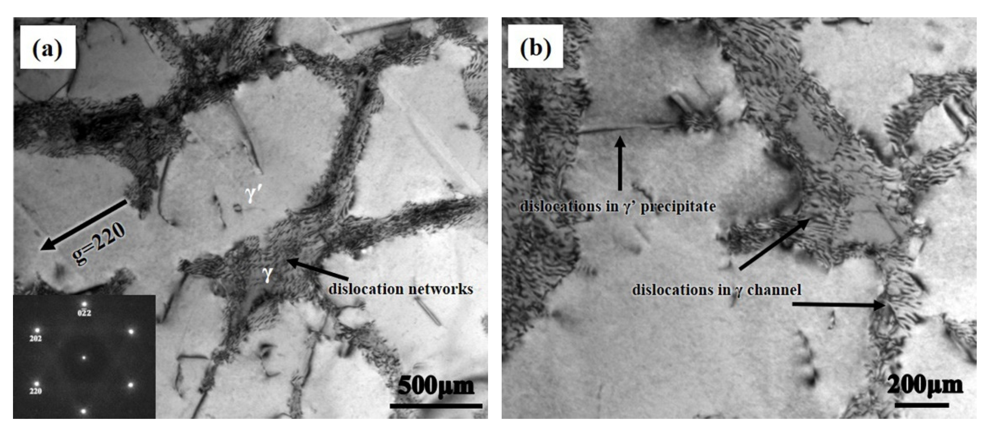 Metals 11 01248 g005