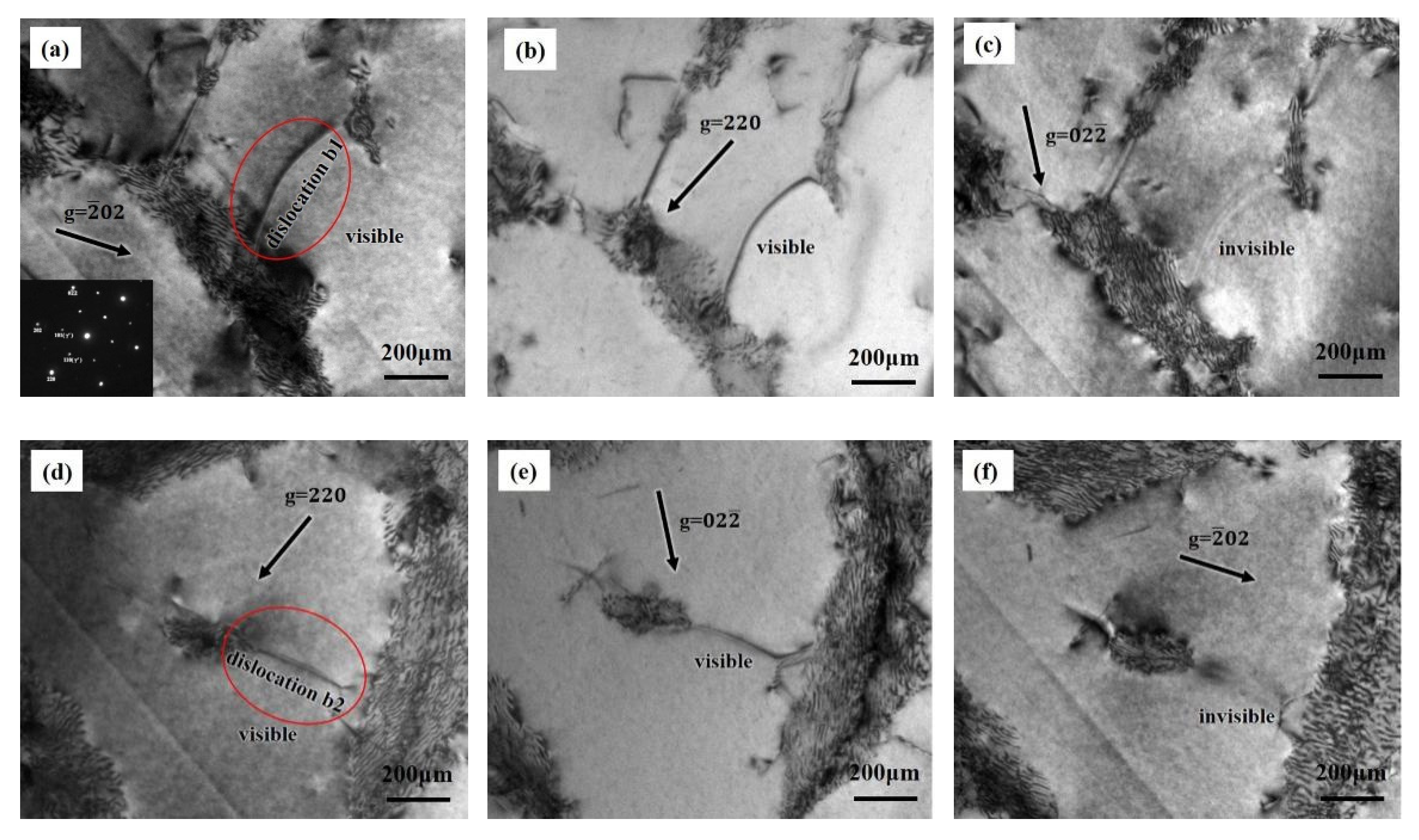 Metals 11 01248 g006