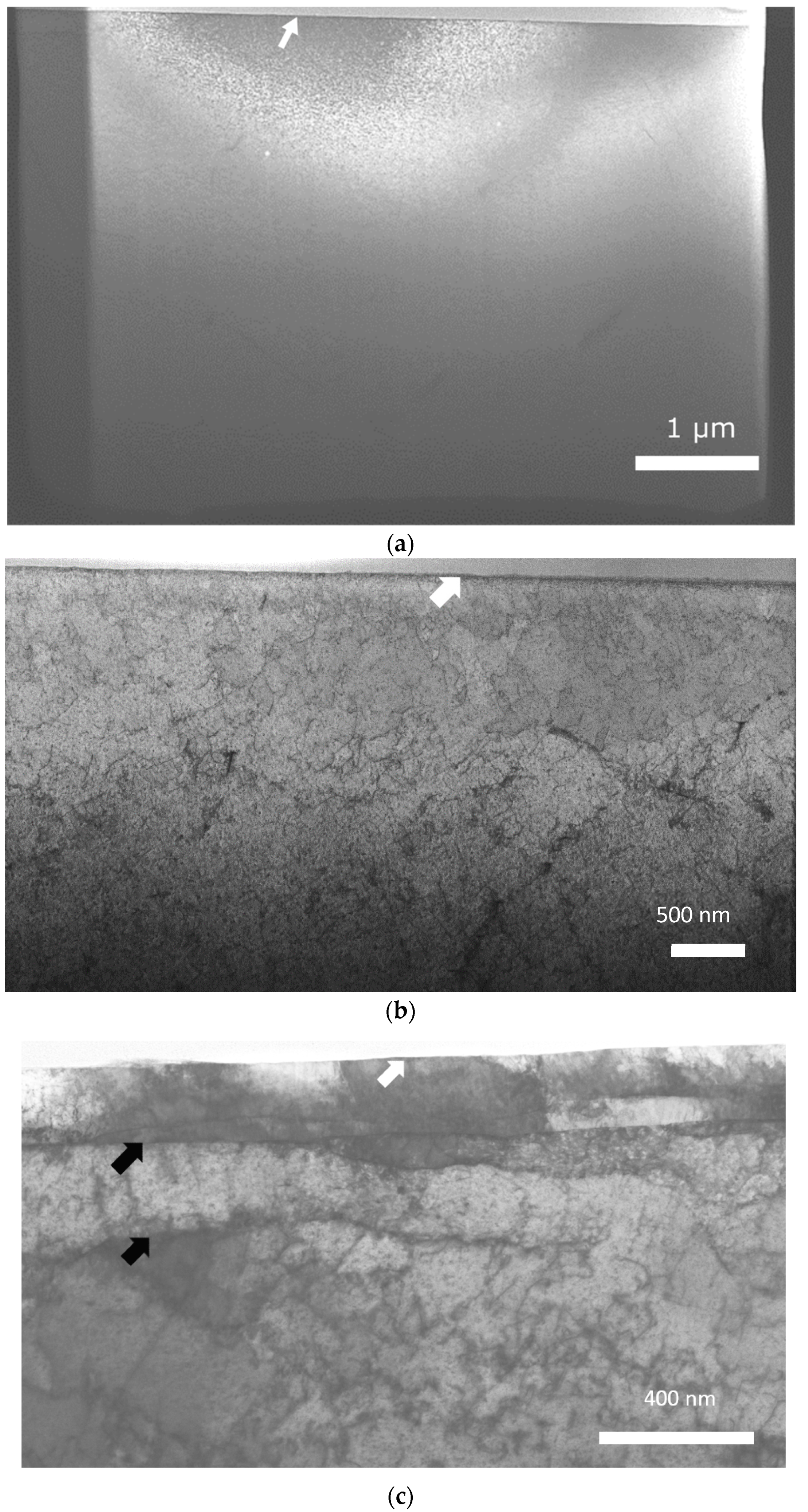 Metals 11 01258 g005