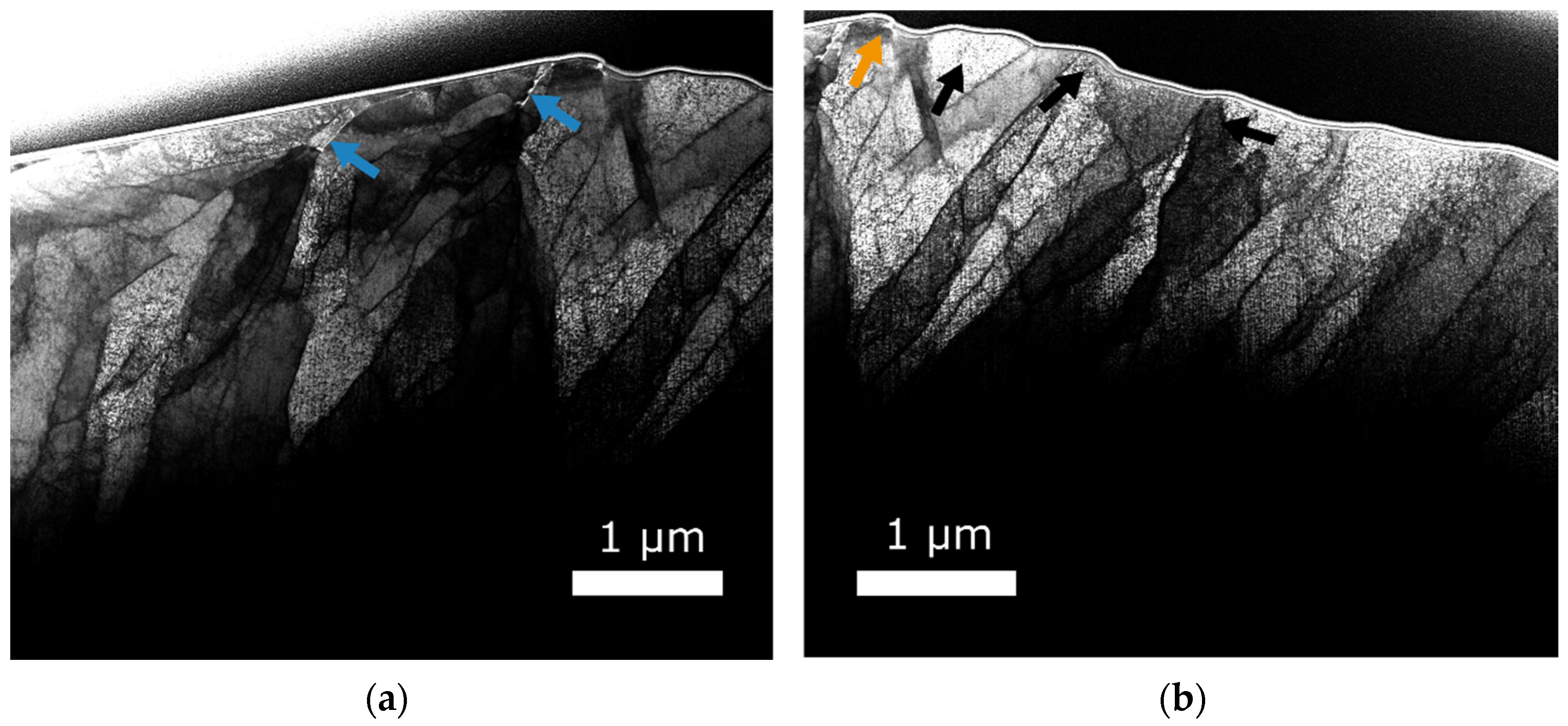 Metals 11 01258 g007