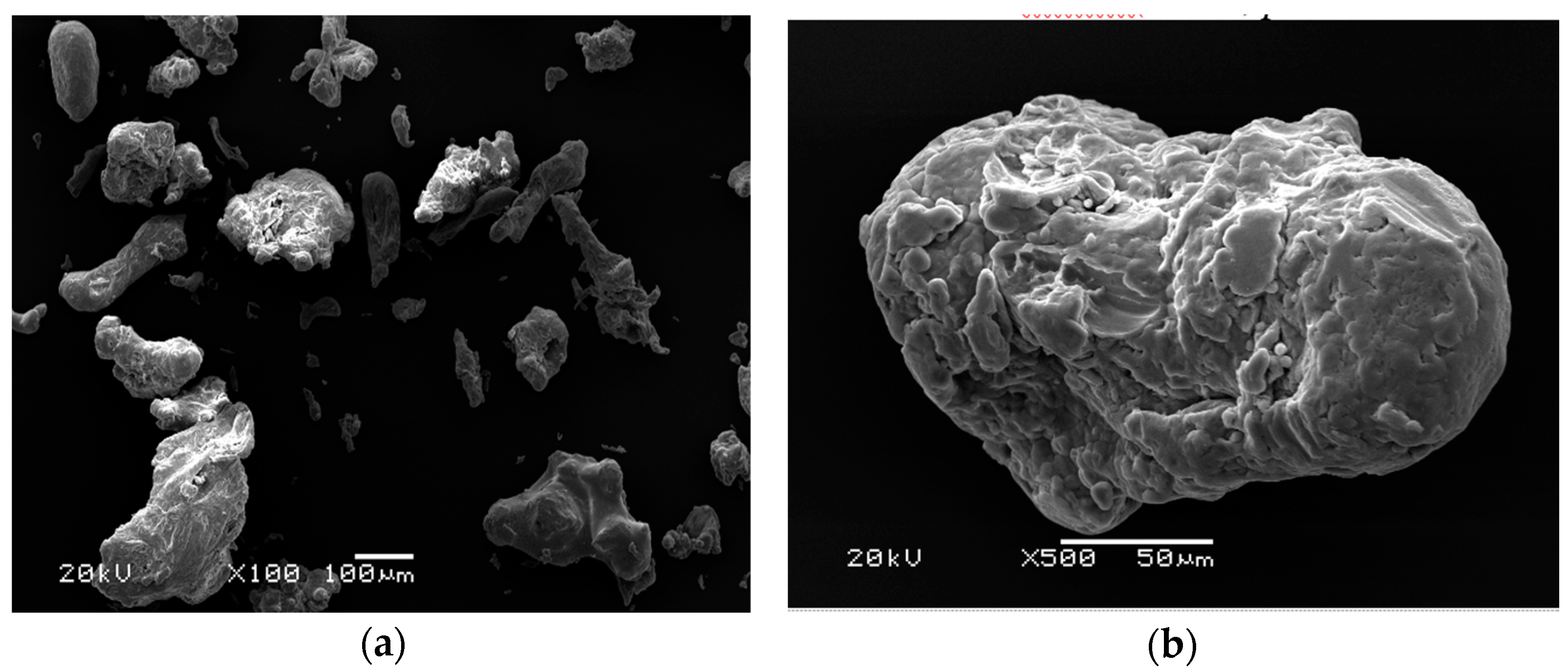 Metals 11 01259 g001