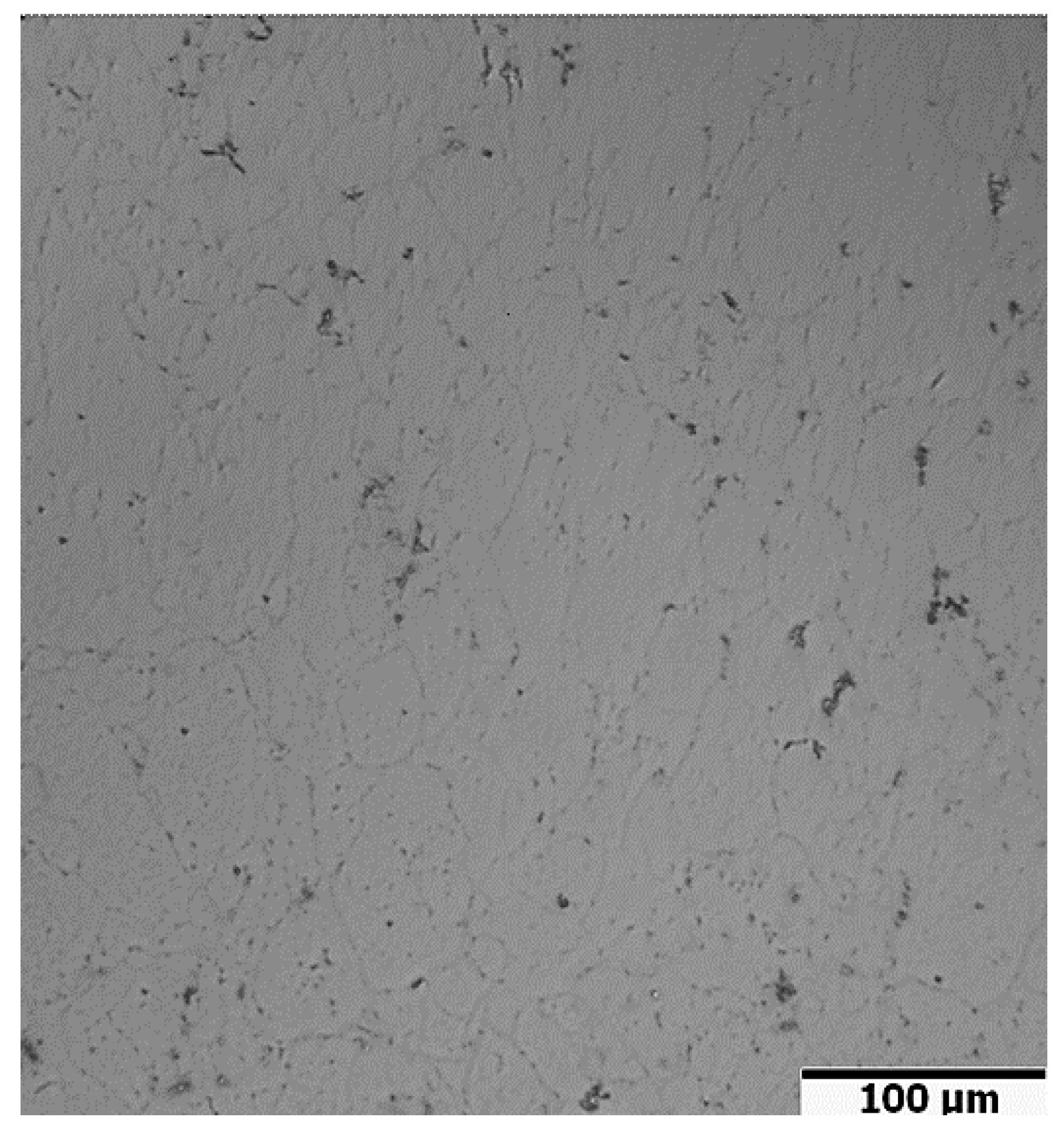 Metals 11 01259 g008