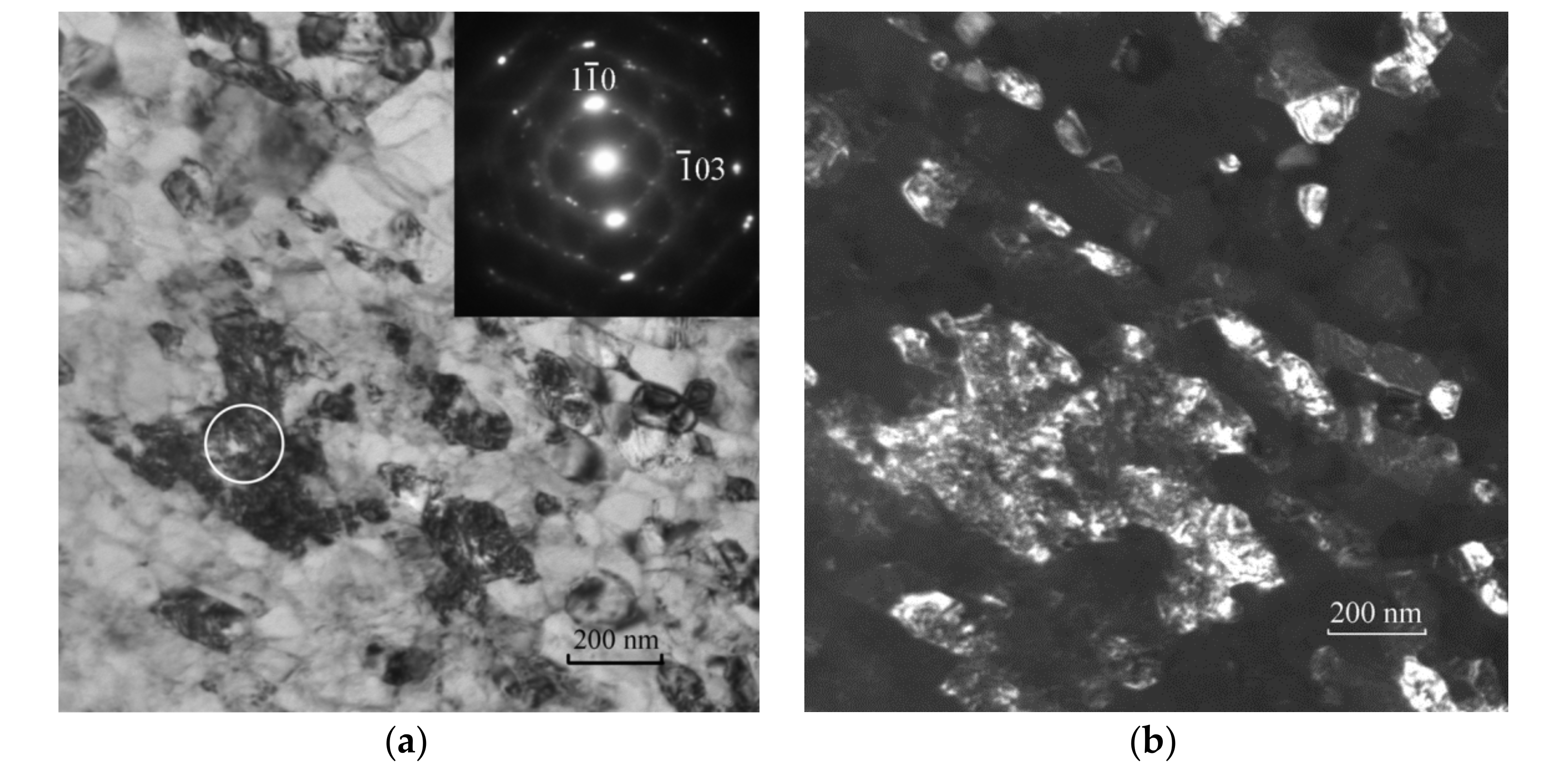 Metals 11 01262 g001 550