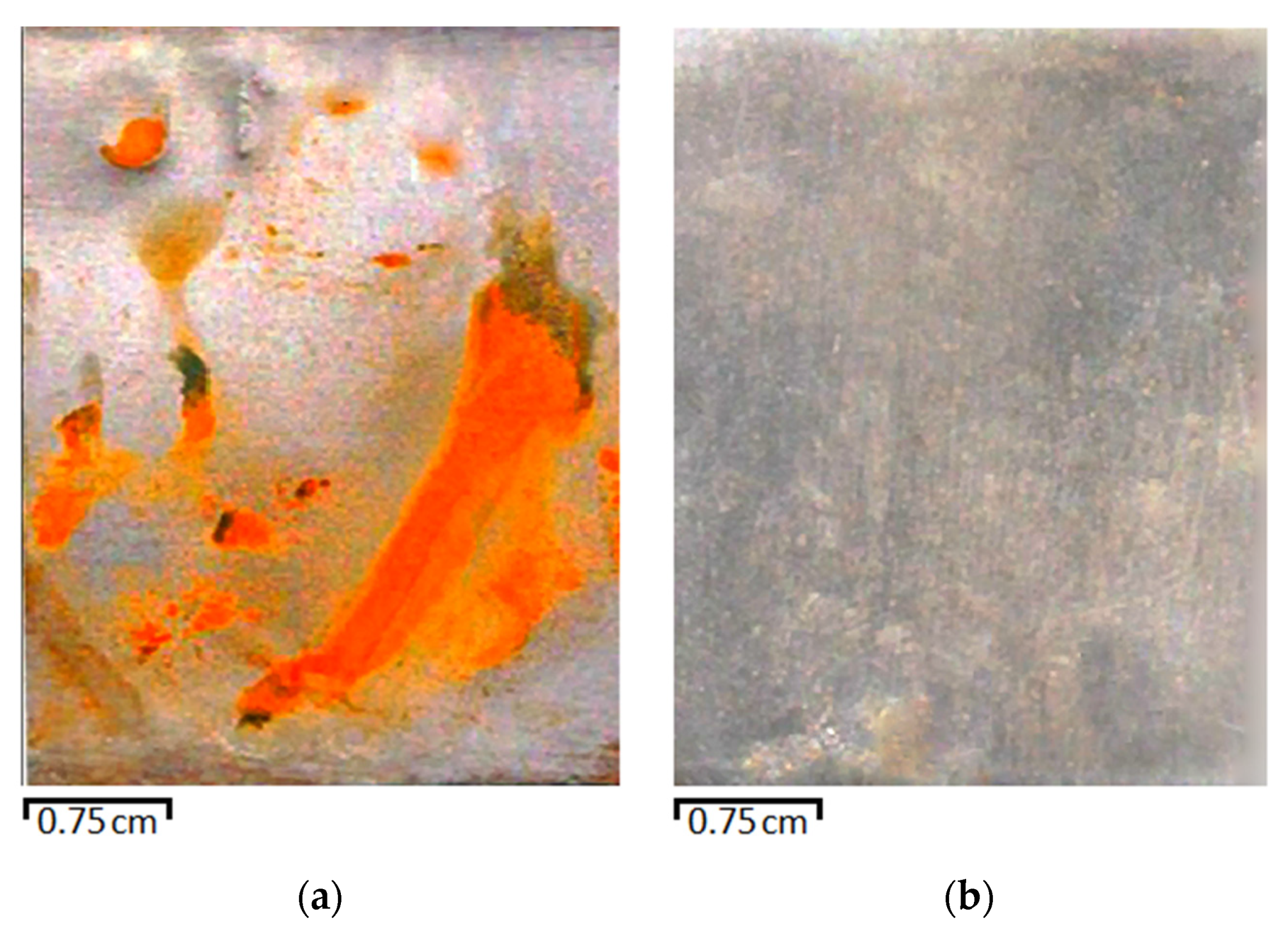 Metals 11 01269 g010