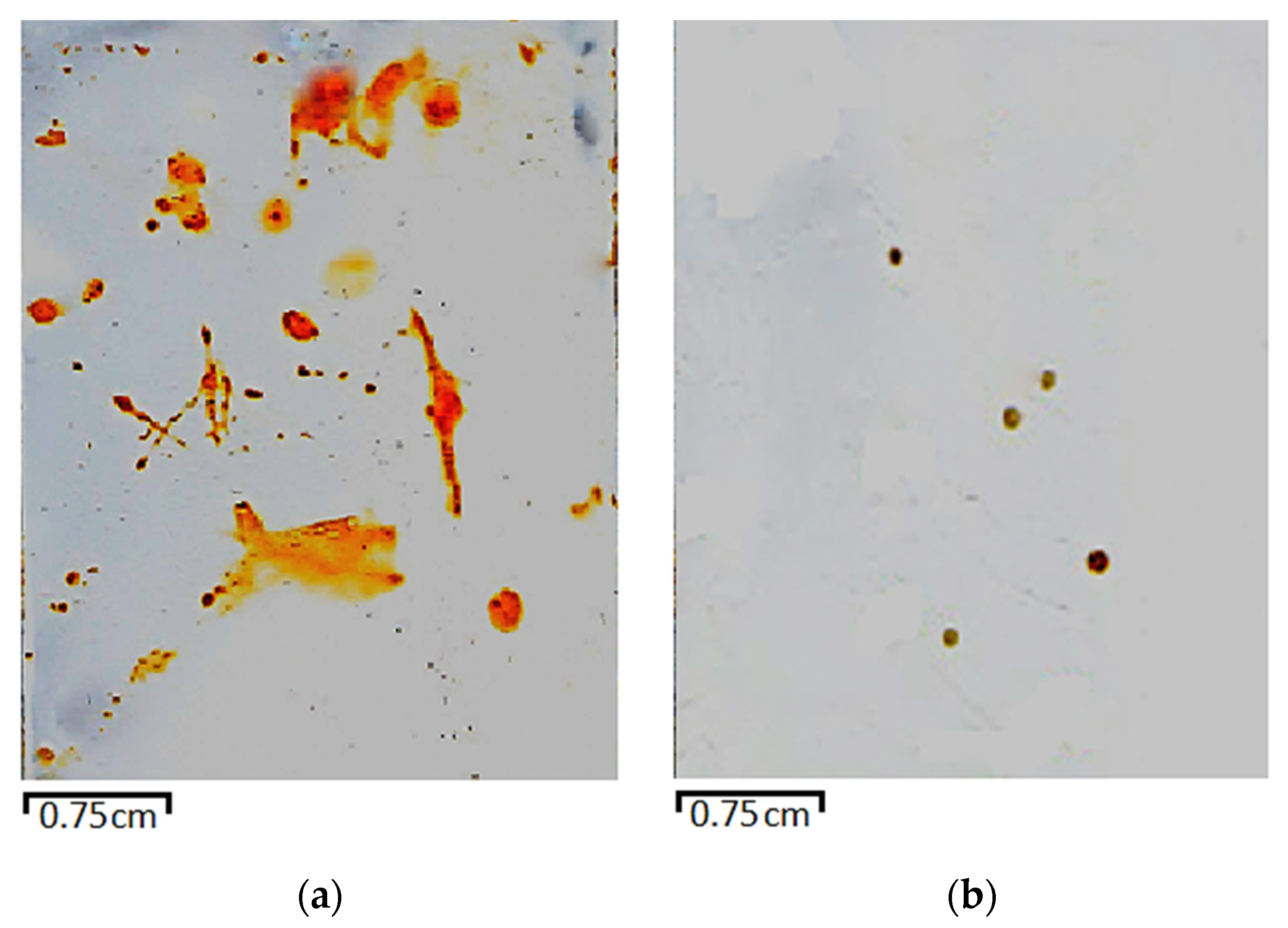 Metals 11 01269 g012