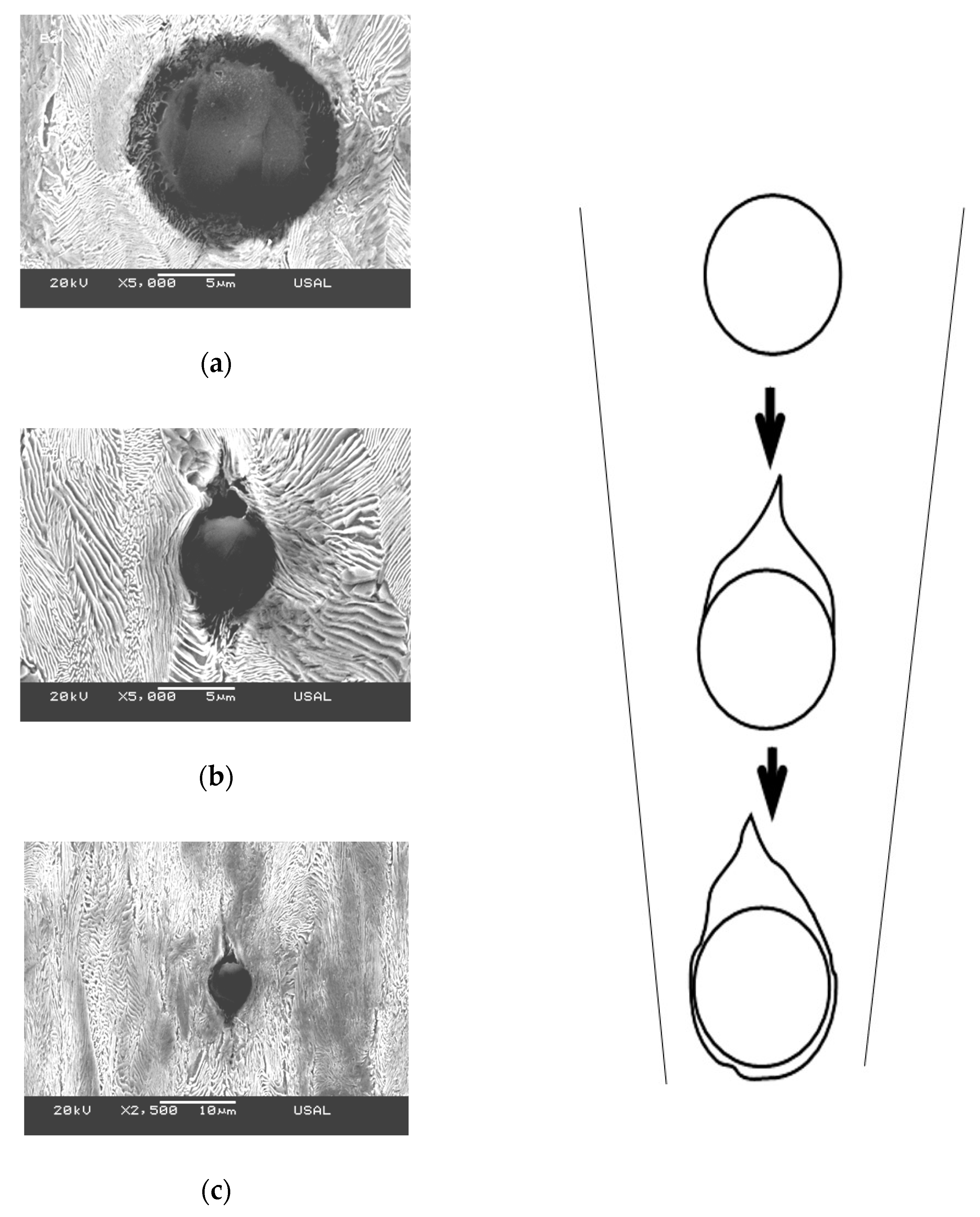 Metals 11 01272 g011 550