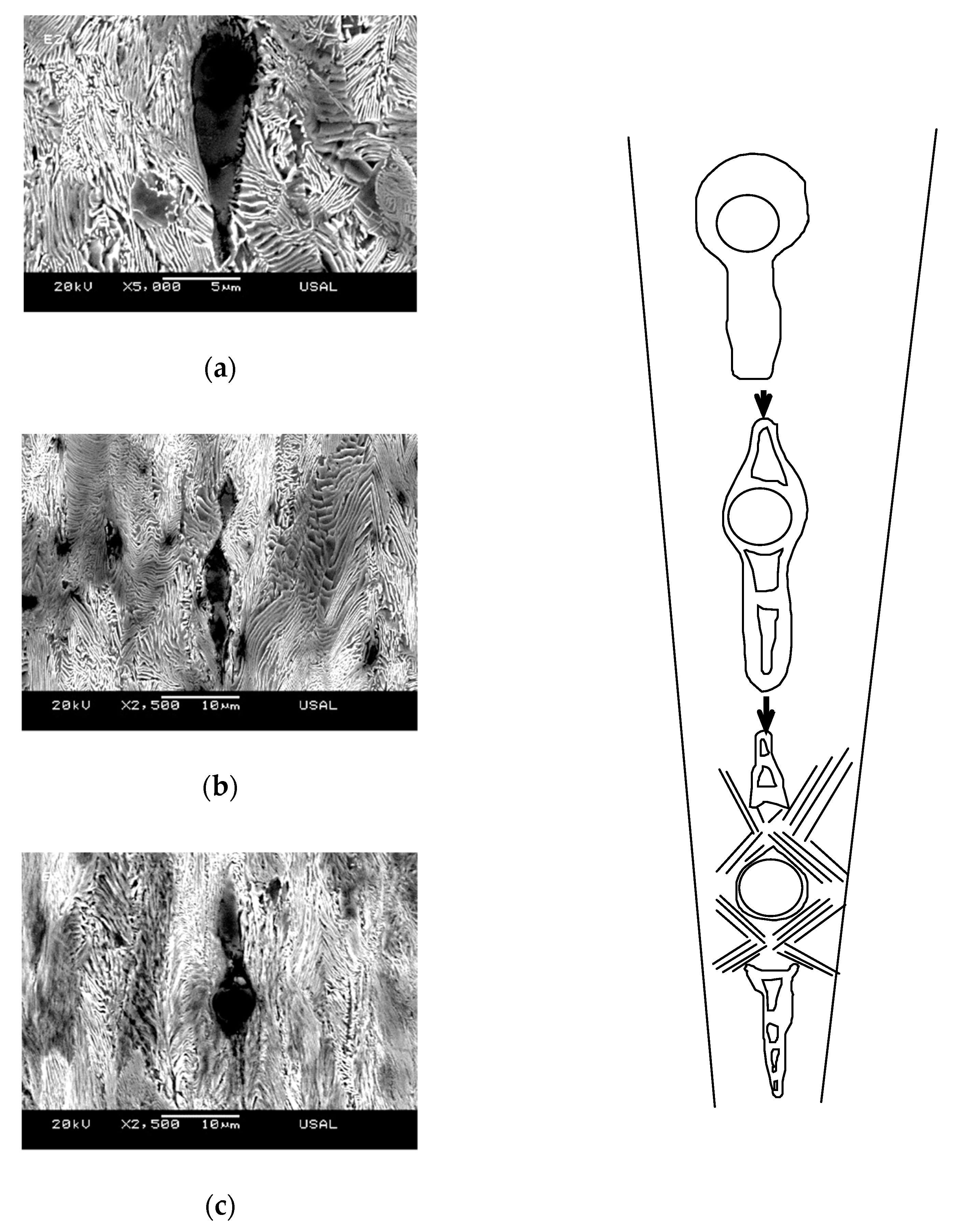 Metals 11 01272 g013 550