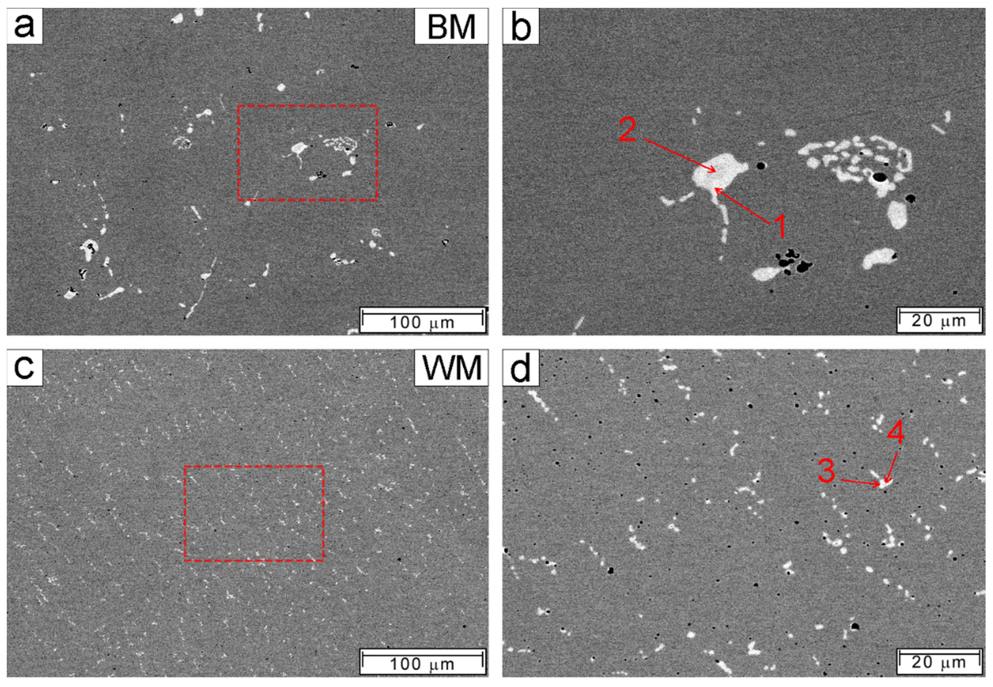 Metals 11 01286 g004