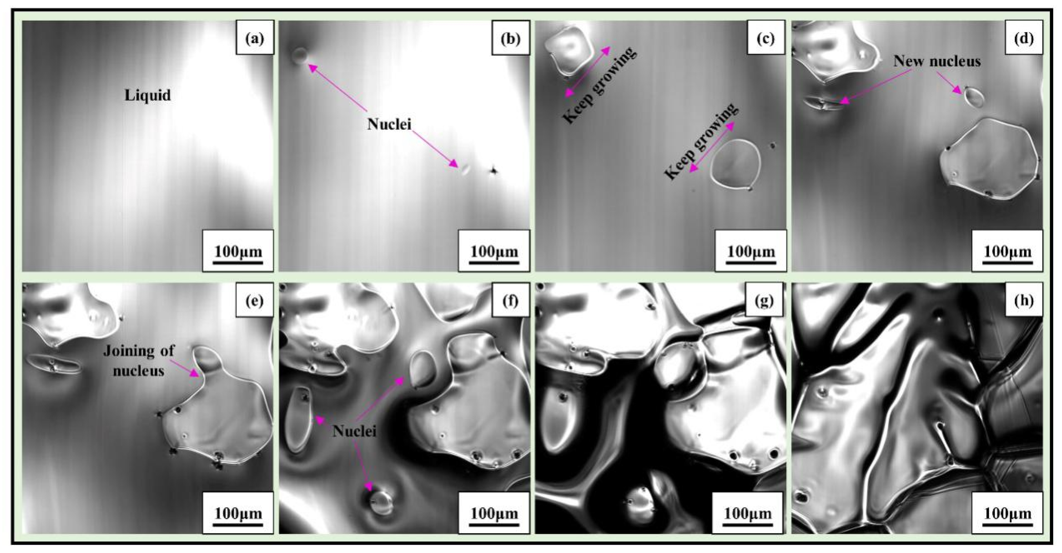 Metals 11 01291 g004 550
