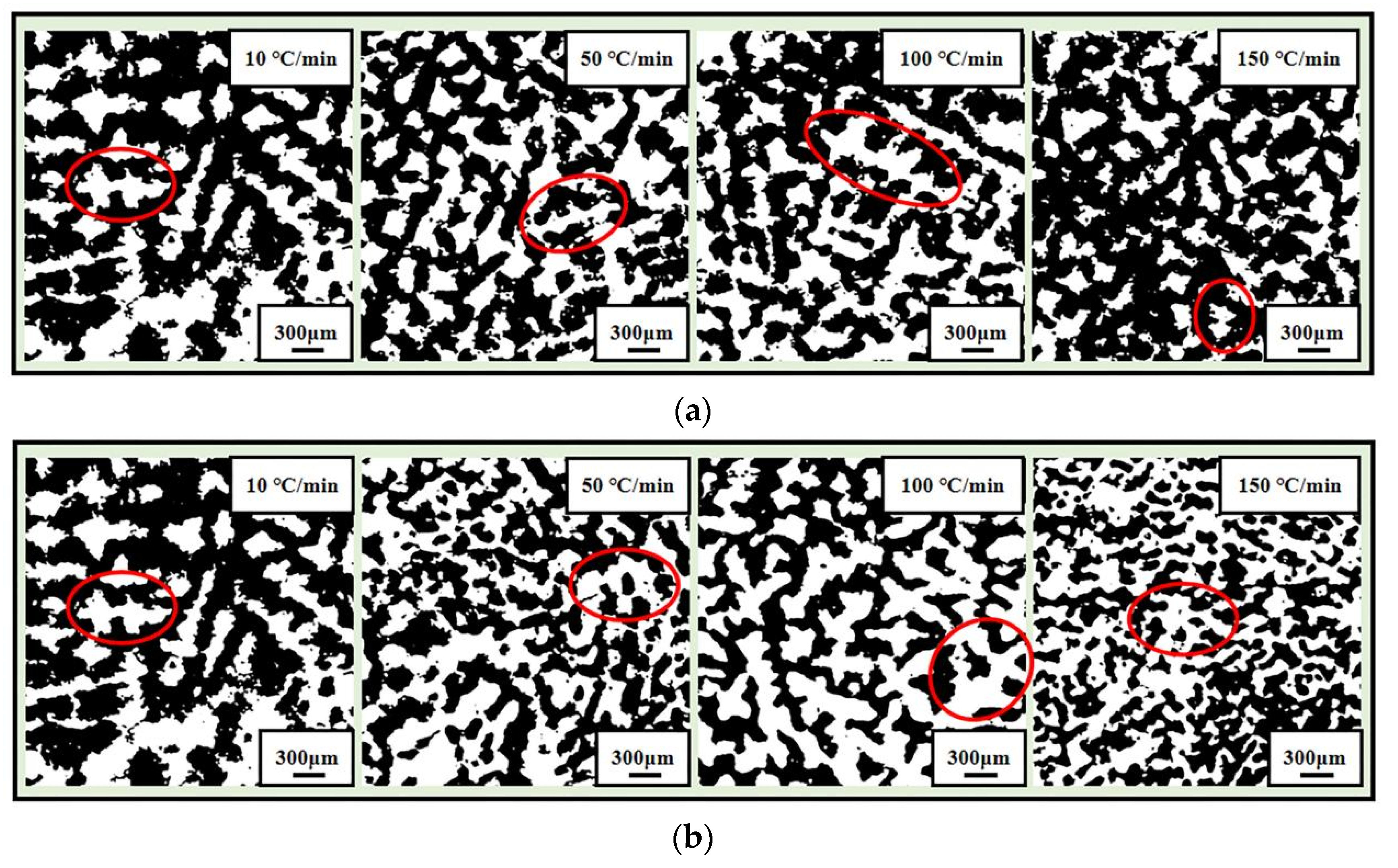 Metals 11 01291 g006 550