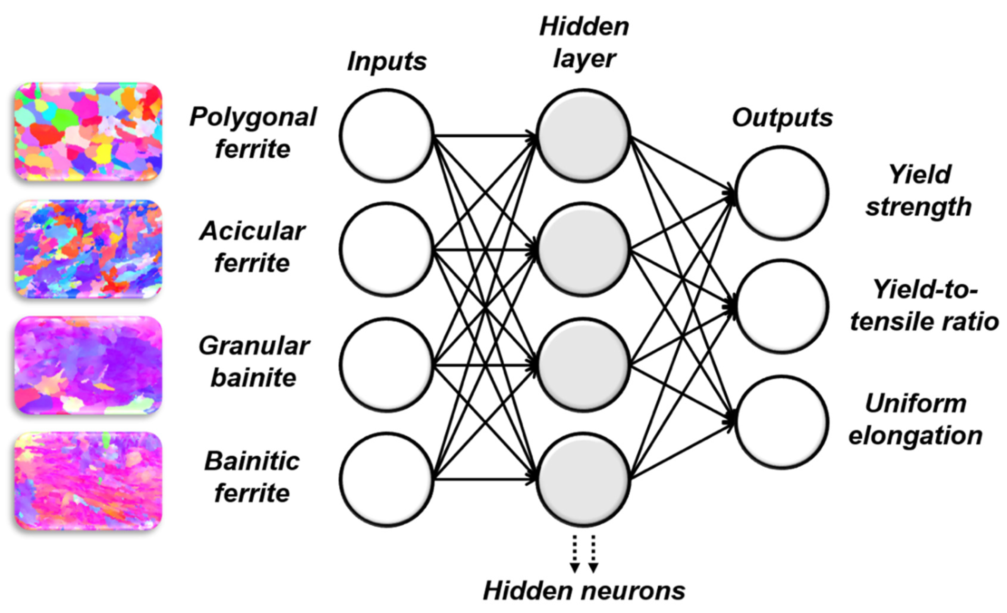 Metals 11 01314 g002