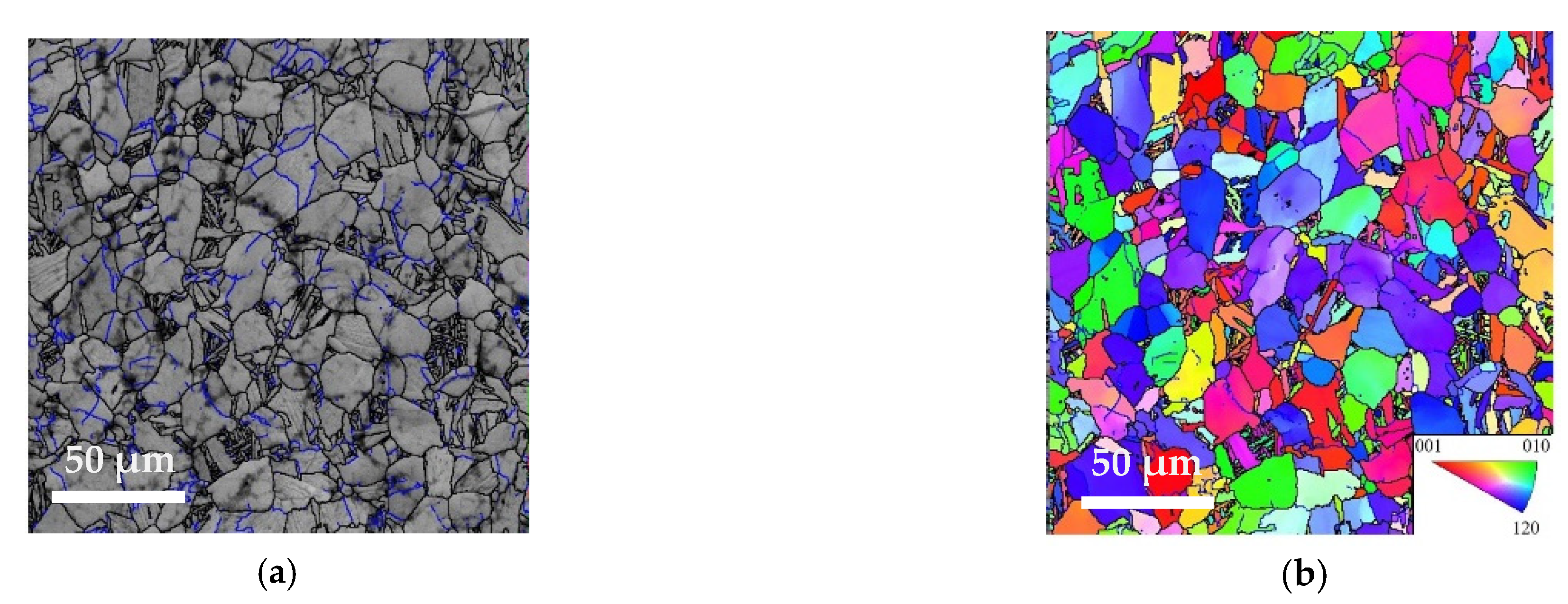 Metals 11 01321 g004a 550