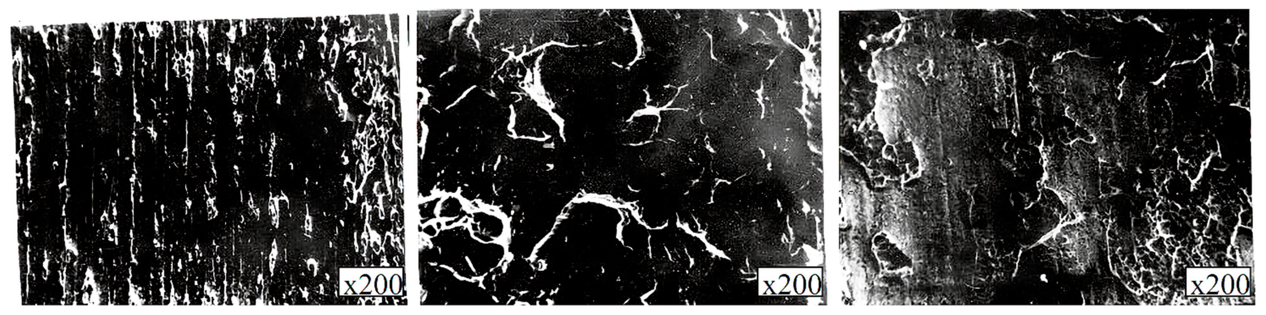 Metals 11 01325 g011