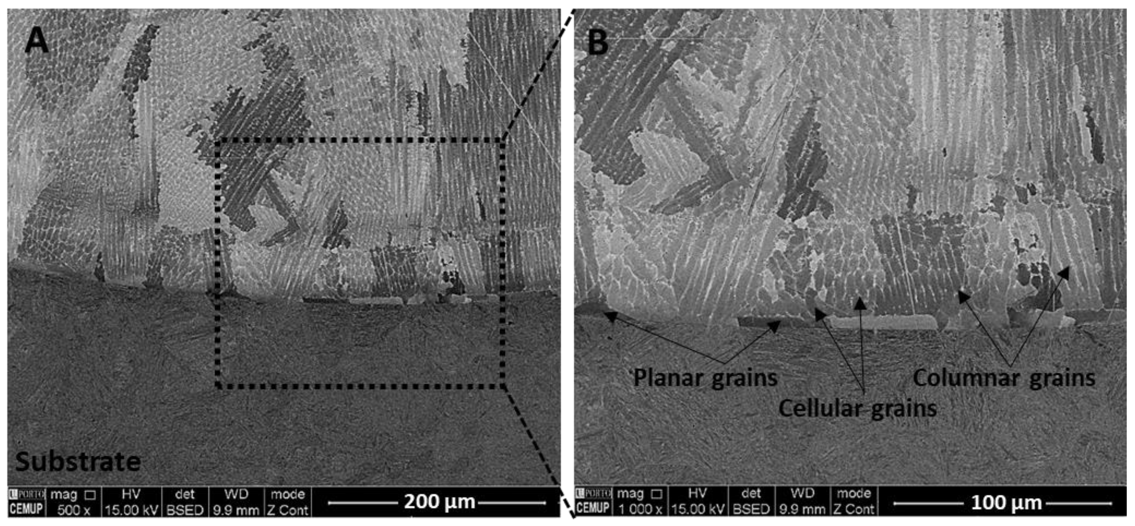 Metals 11 01326 g006 550