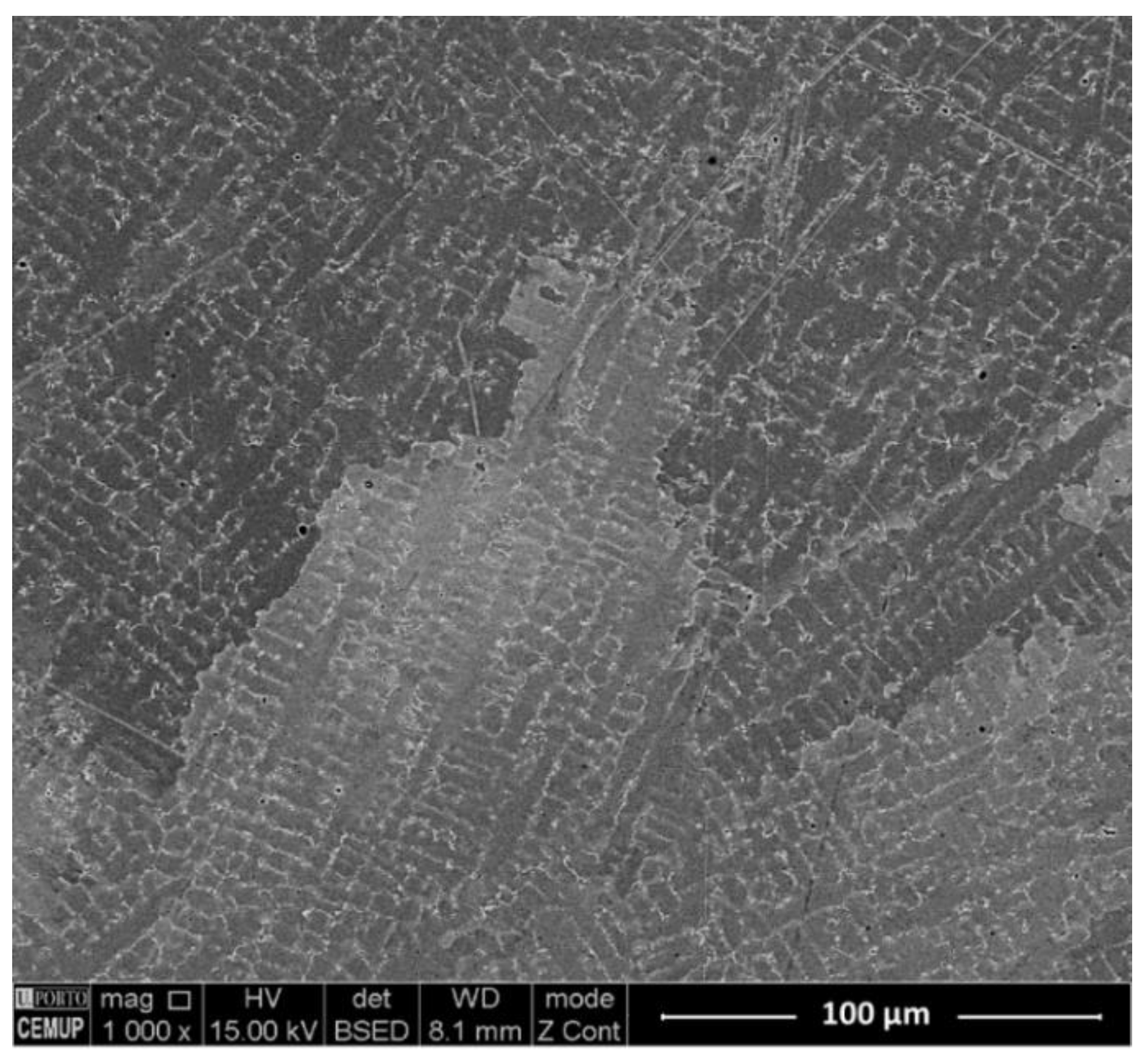 Metals 11 01326 g007 550