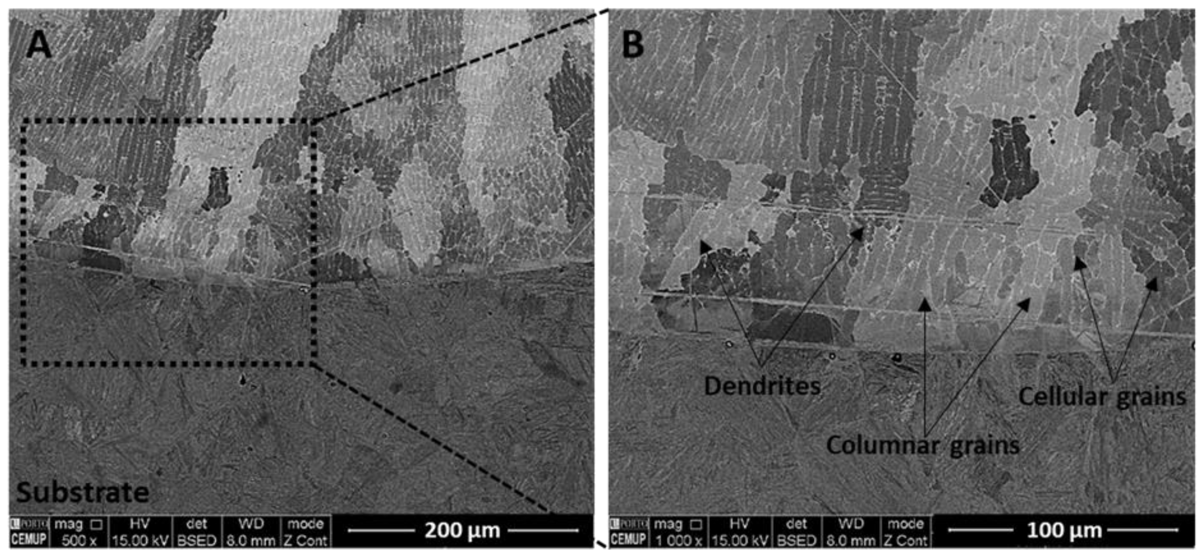 Metals 11 01326 g010 550