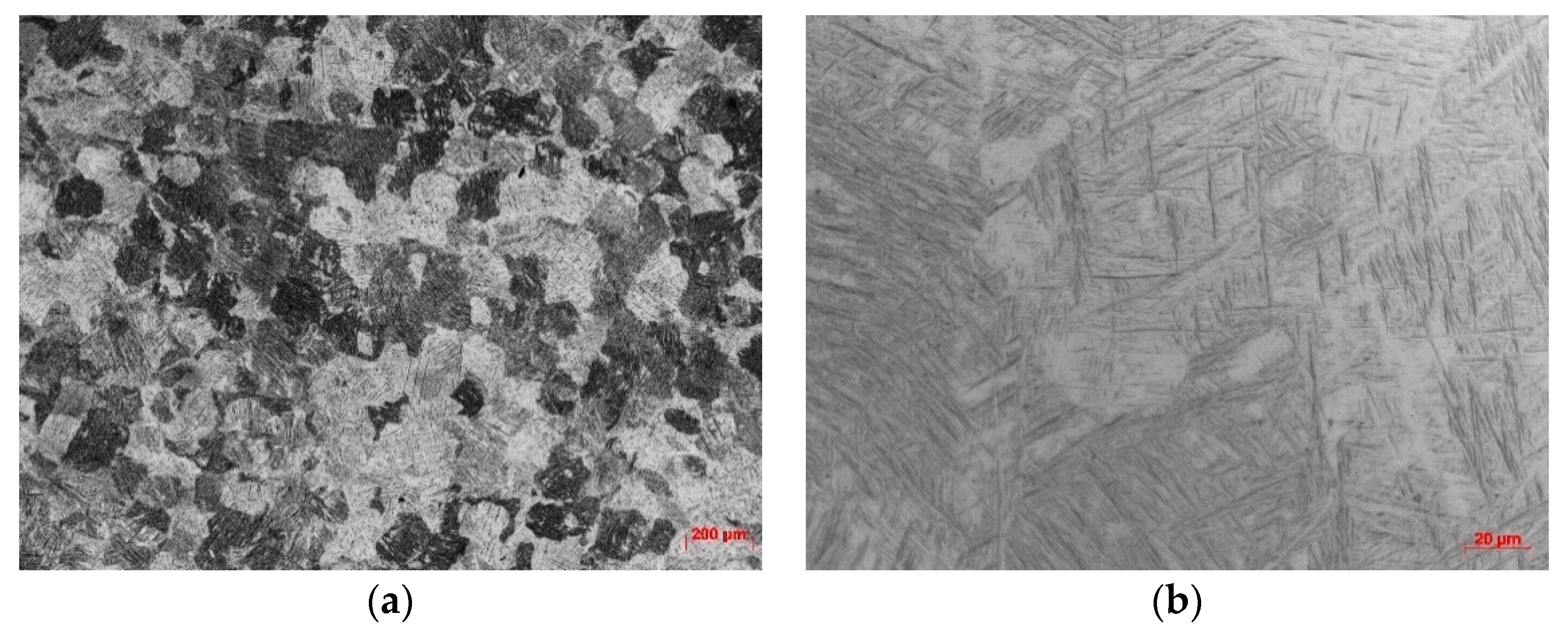 Metals 11 01327 g003