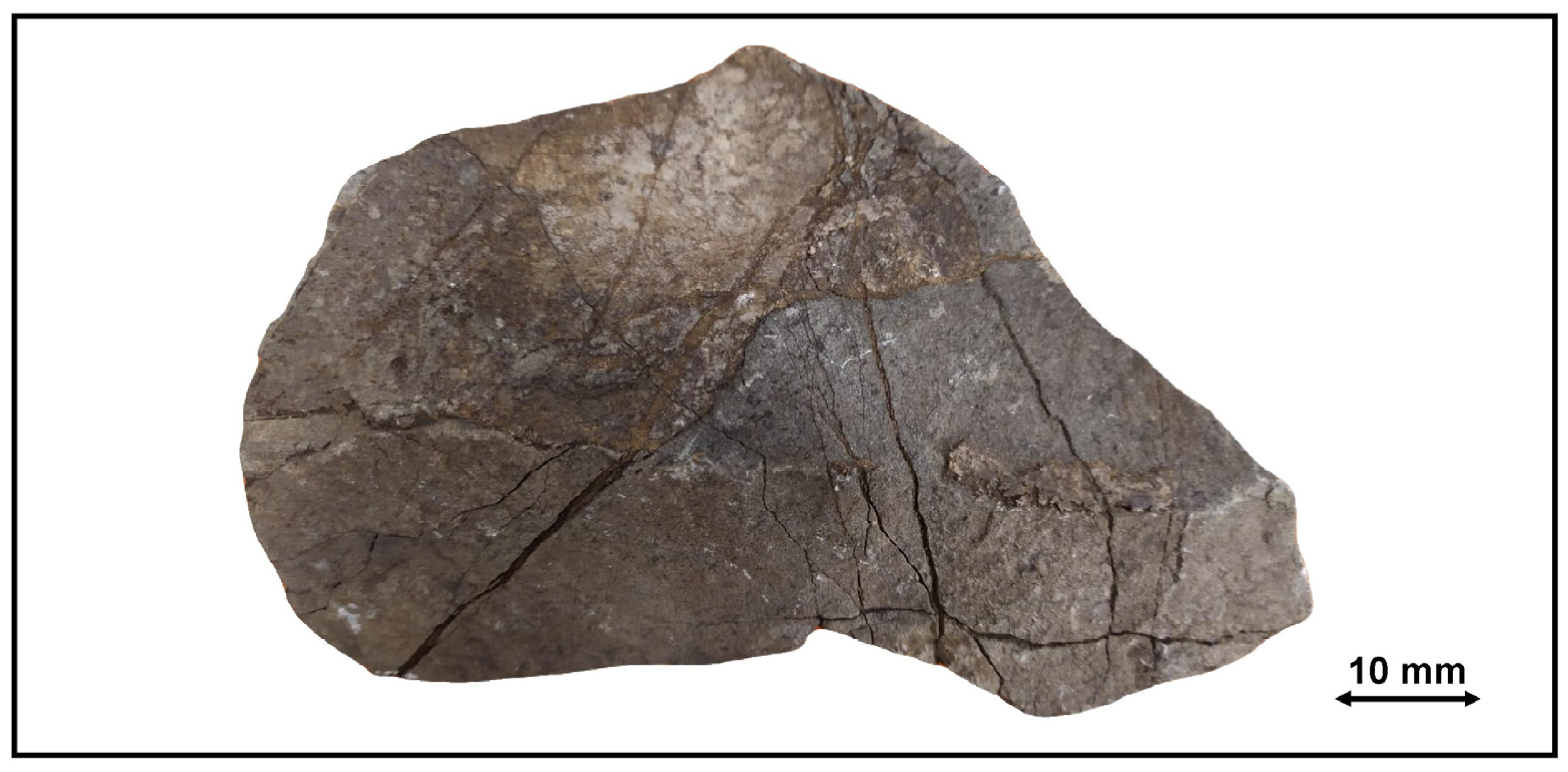 Metals 11 01328 g001 550