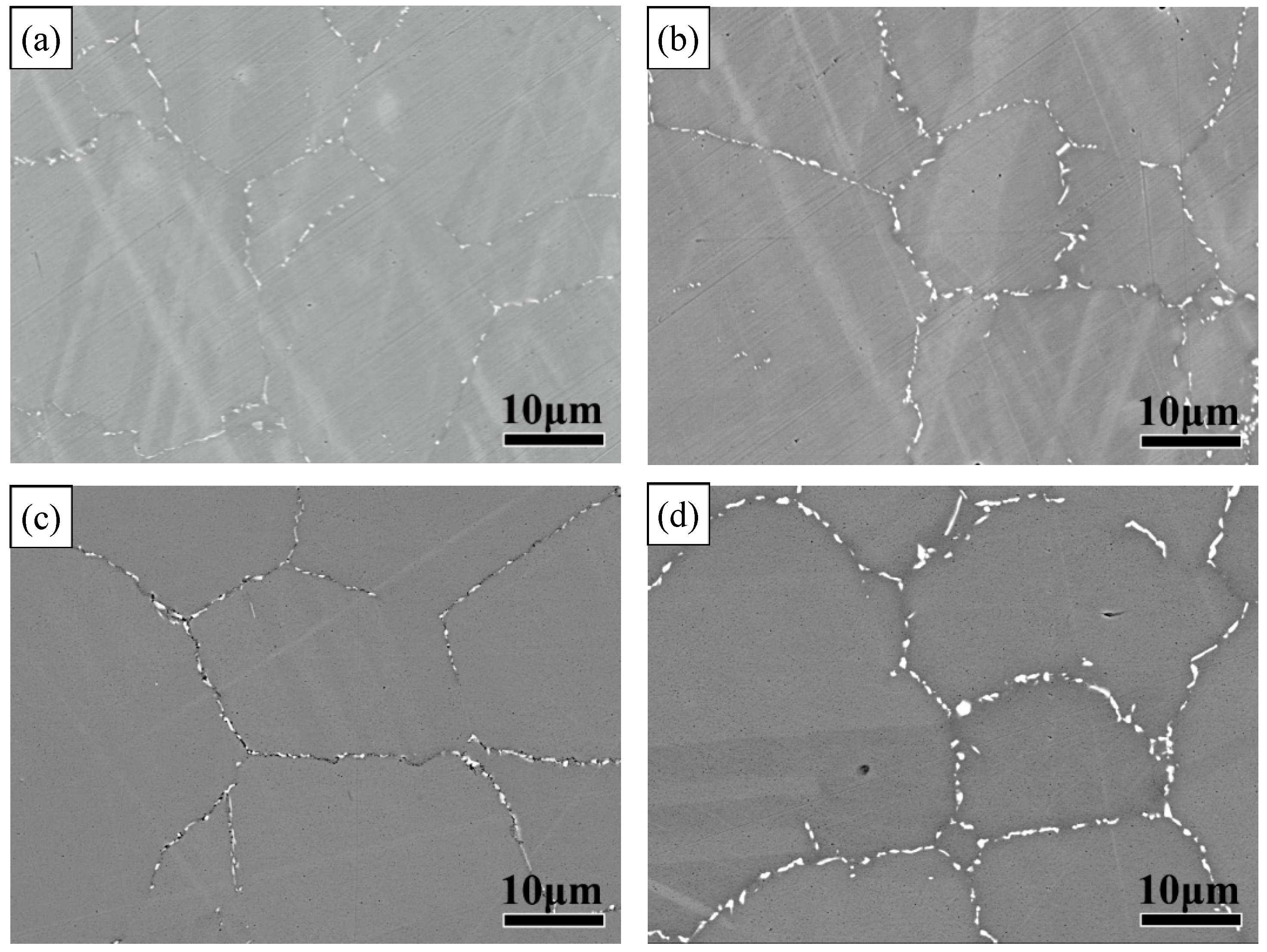 Metals 11 01329 g002 550