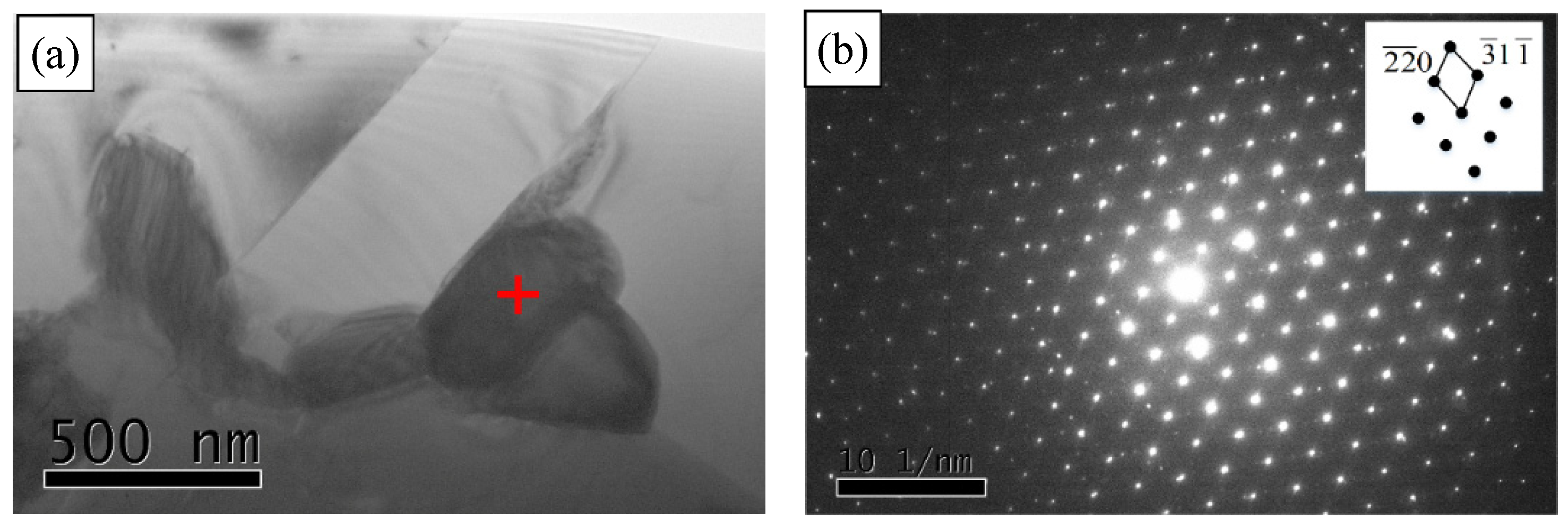 Metals 11 01329 g004 550